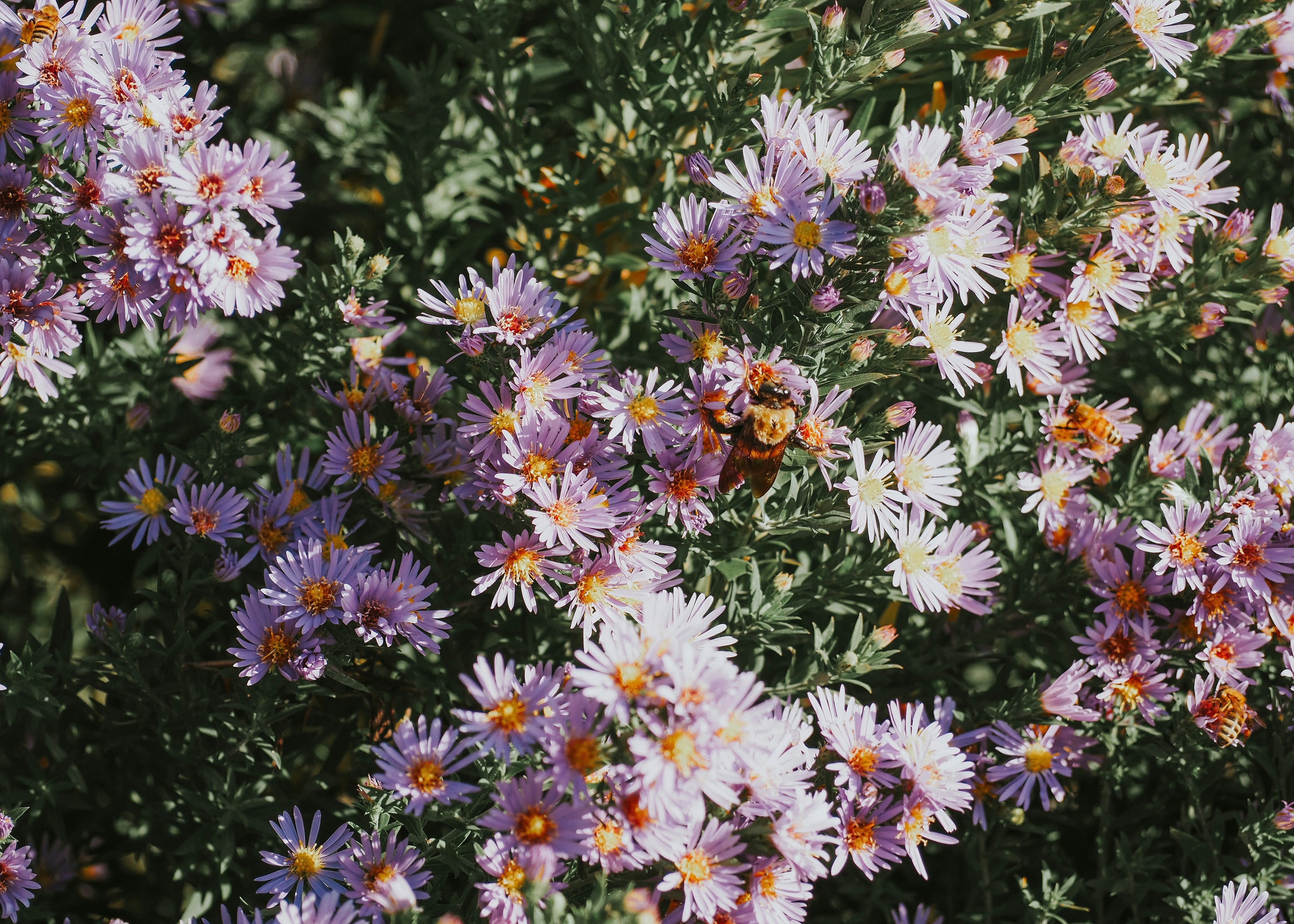 Photo by fieldworkframes