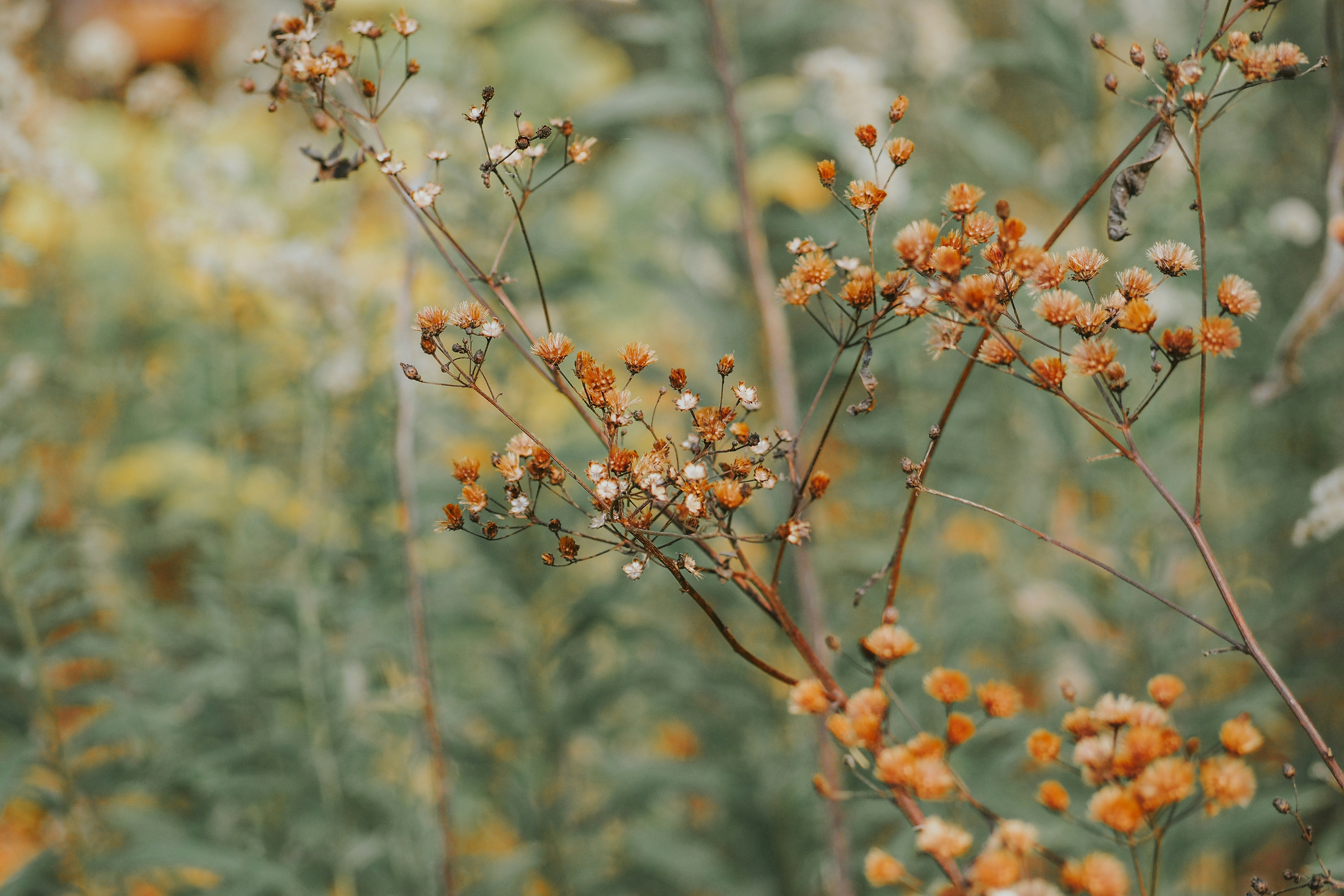 Photo by fieldworkframes