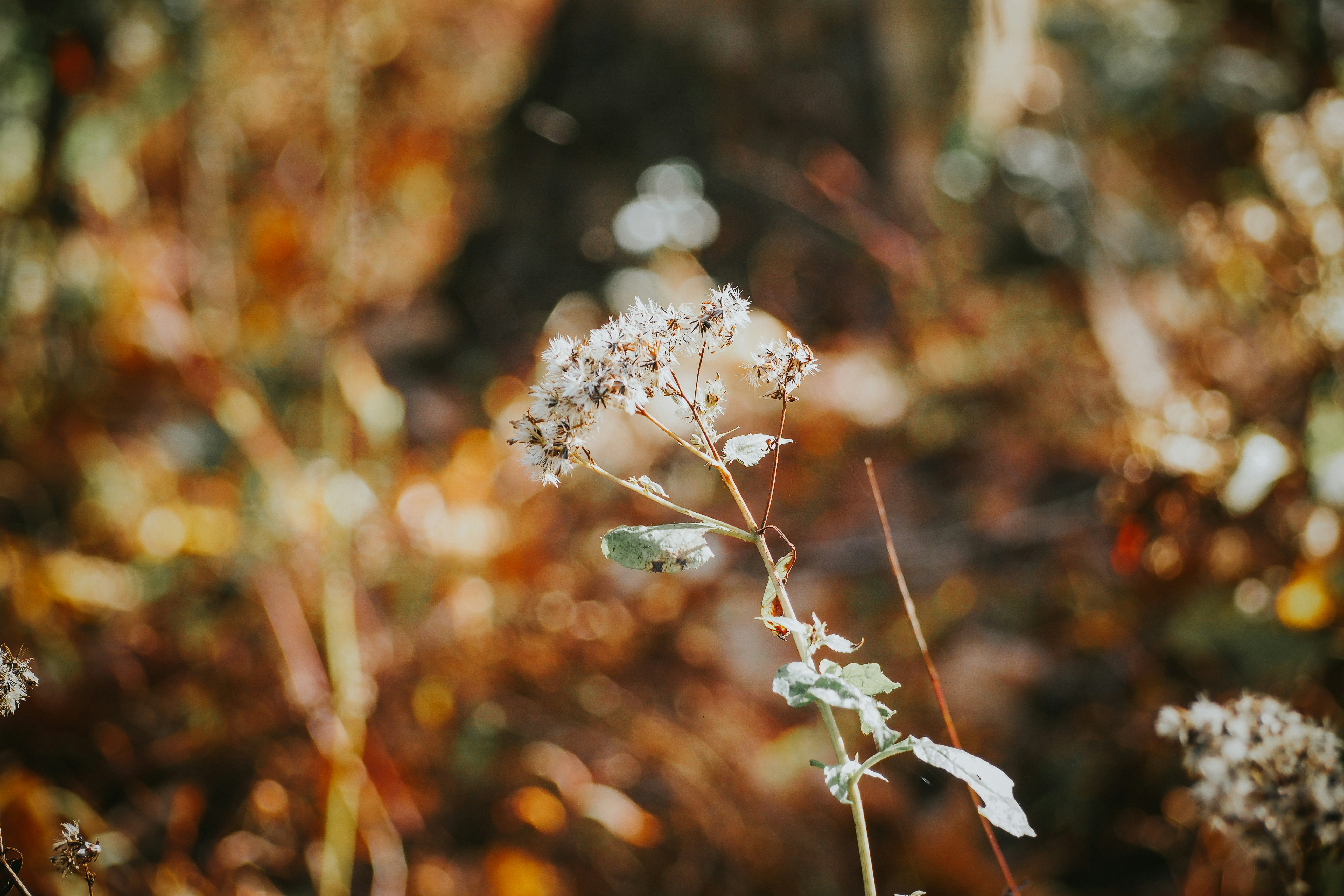 Photo by fieldworkframes