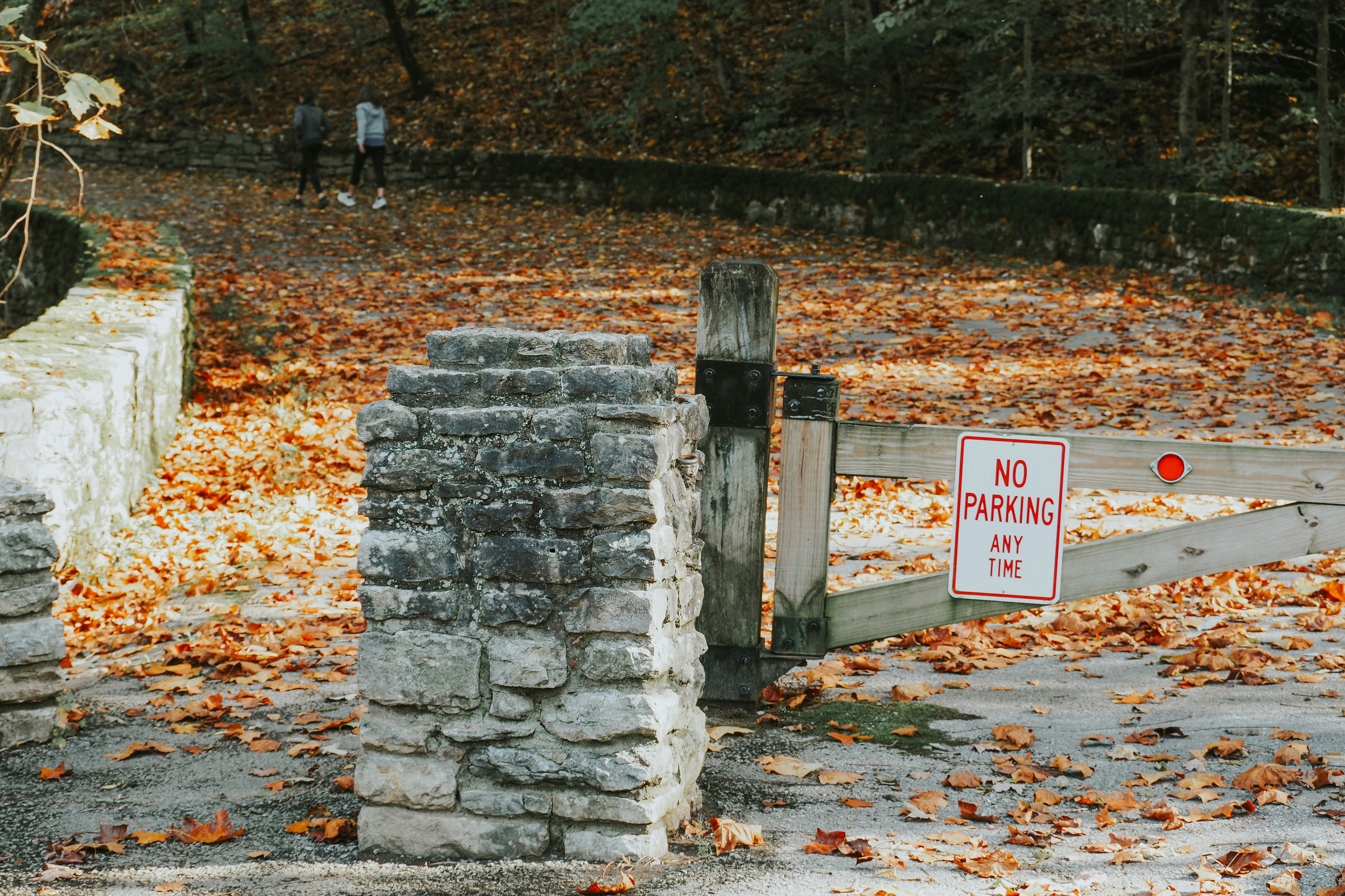 Photo by fieldworkframes