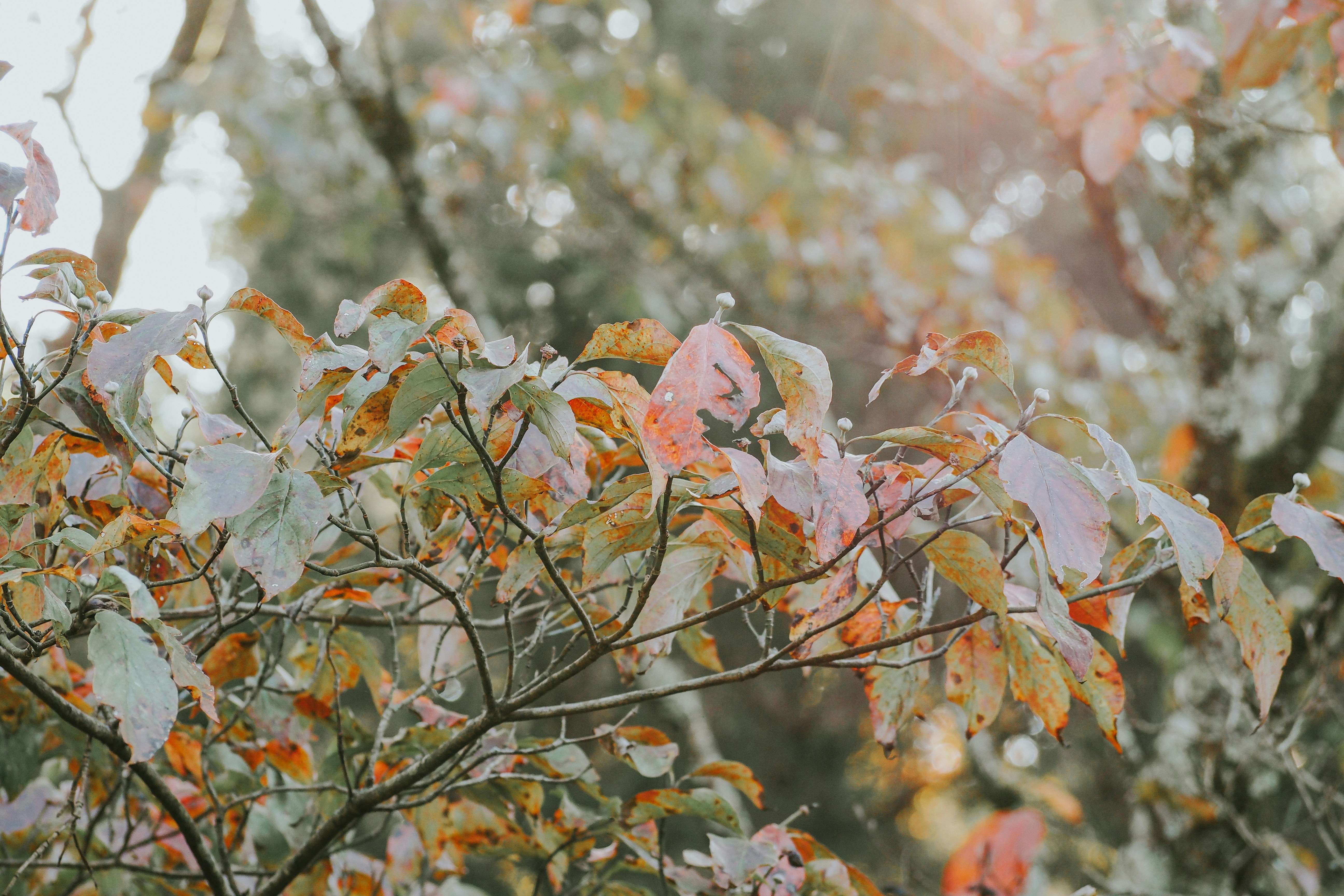 Photo by fieldworkframes