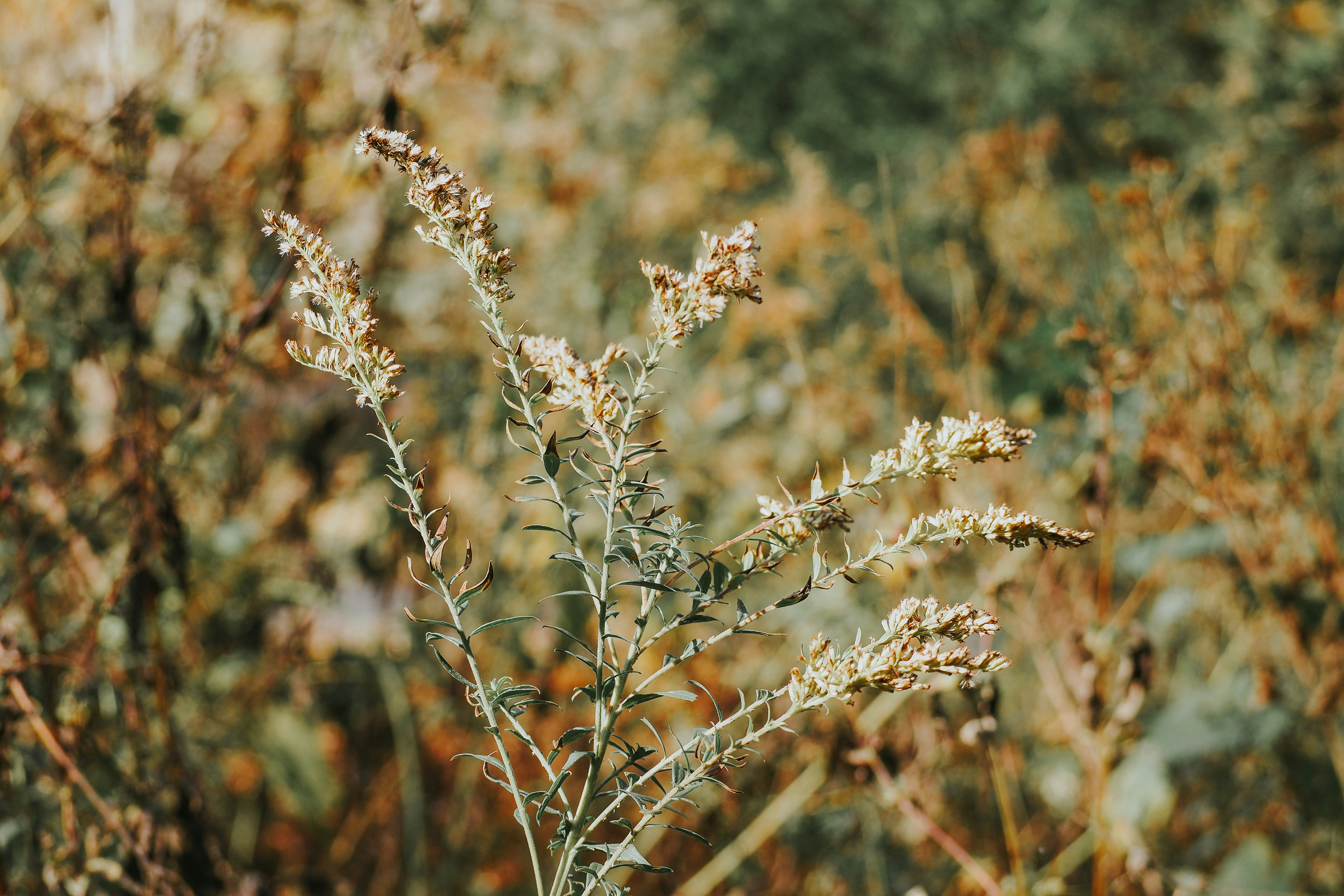 Photo by fieldworkframes