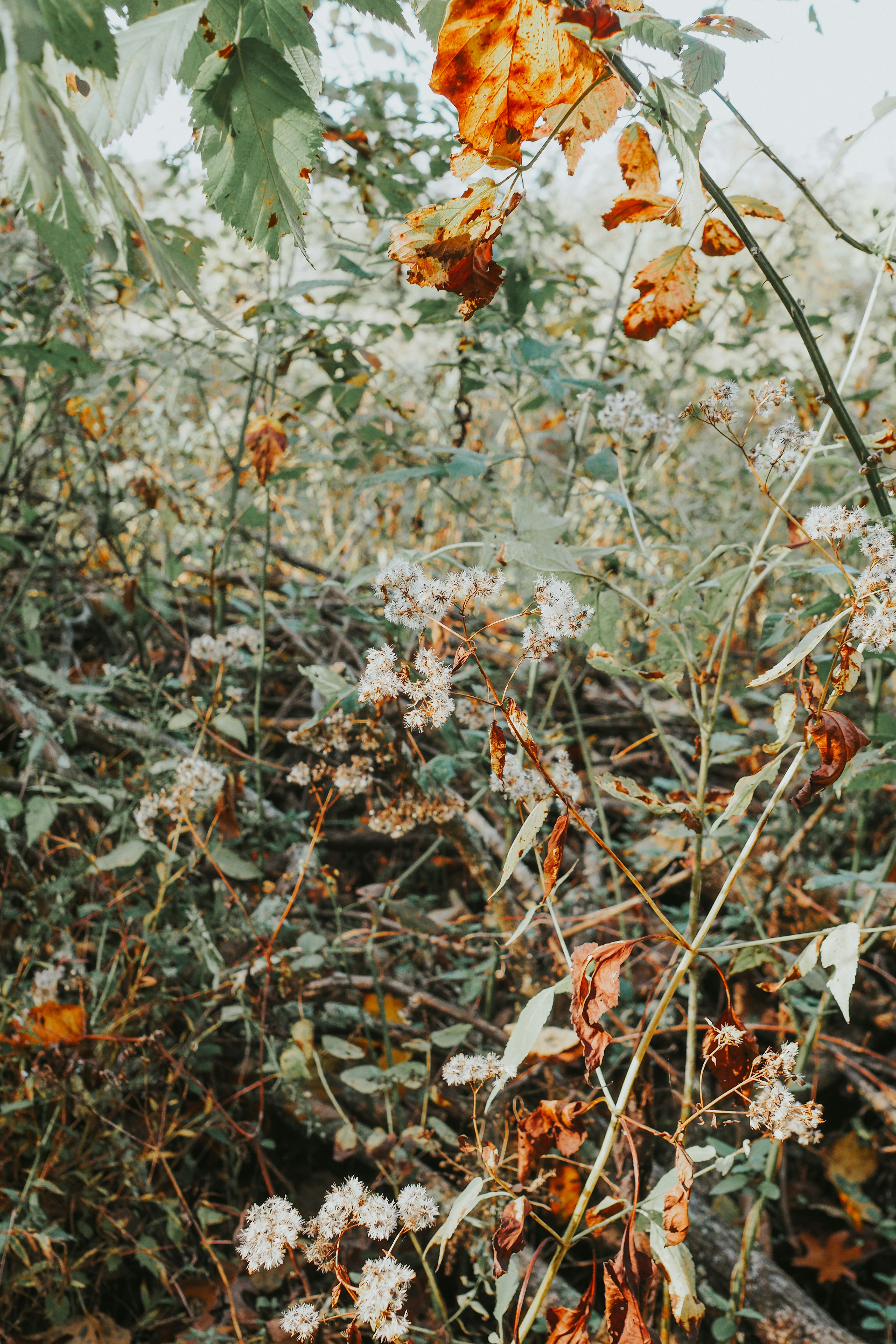 Photo by fieldworkframes