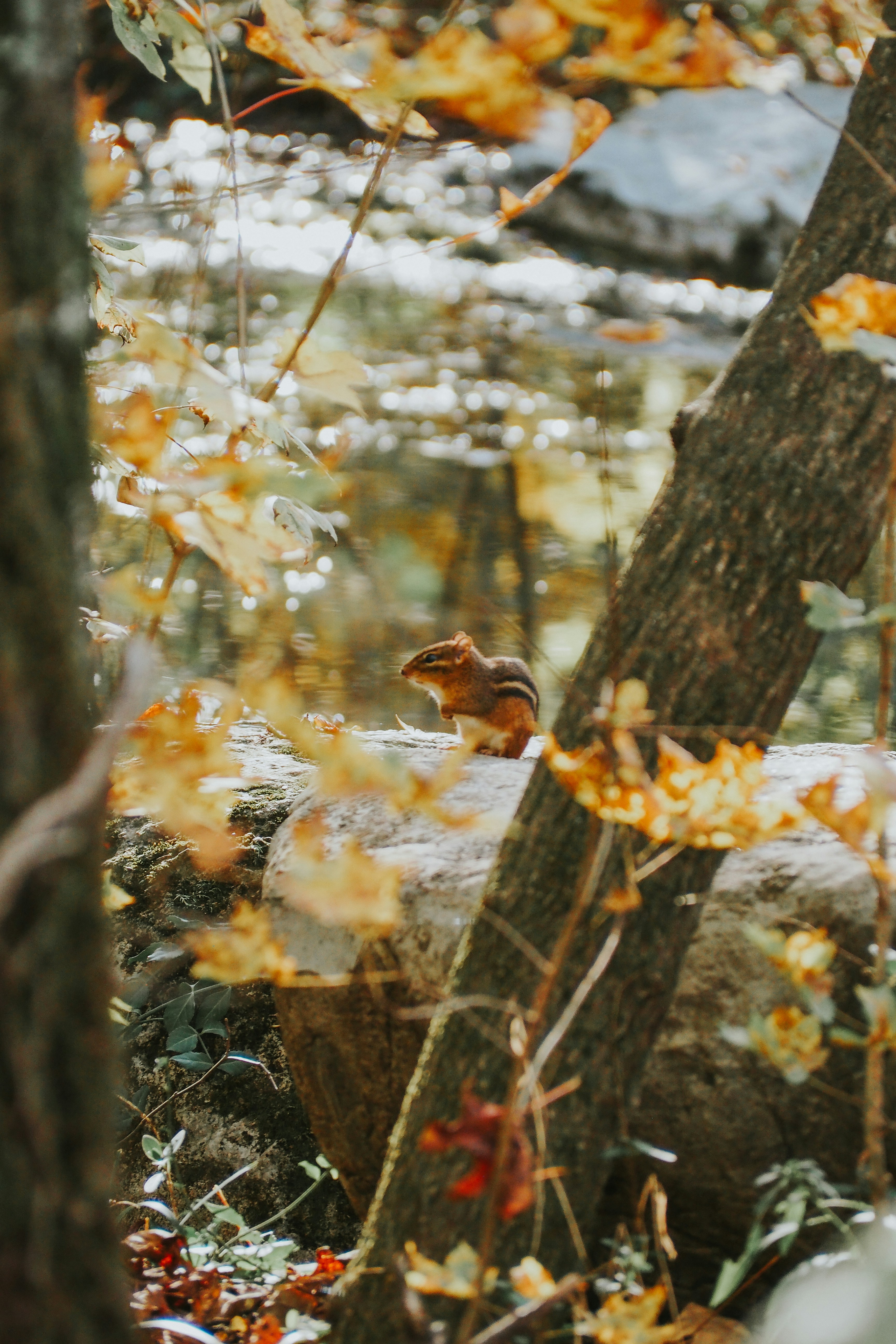 Photo by fieldworkframes