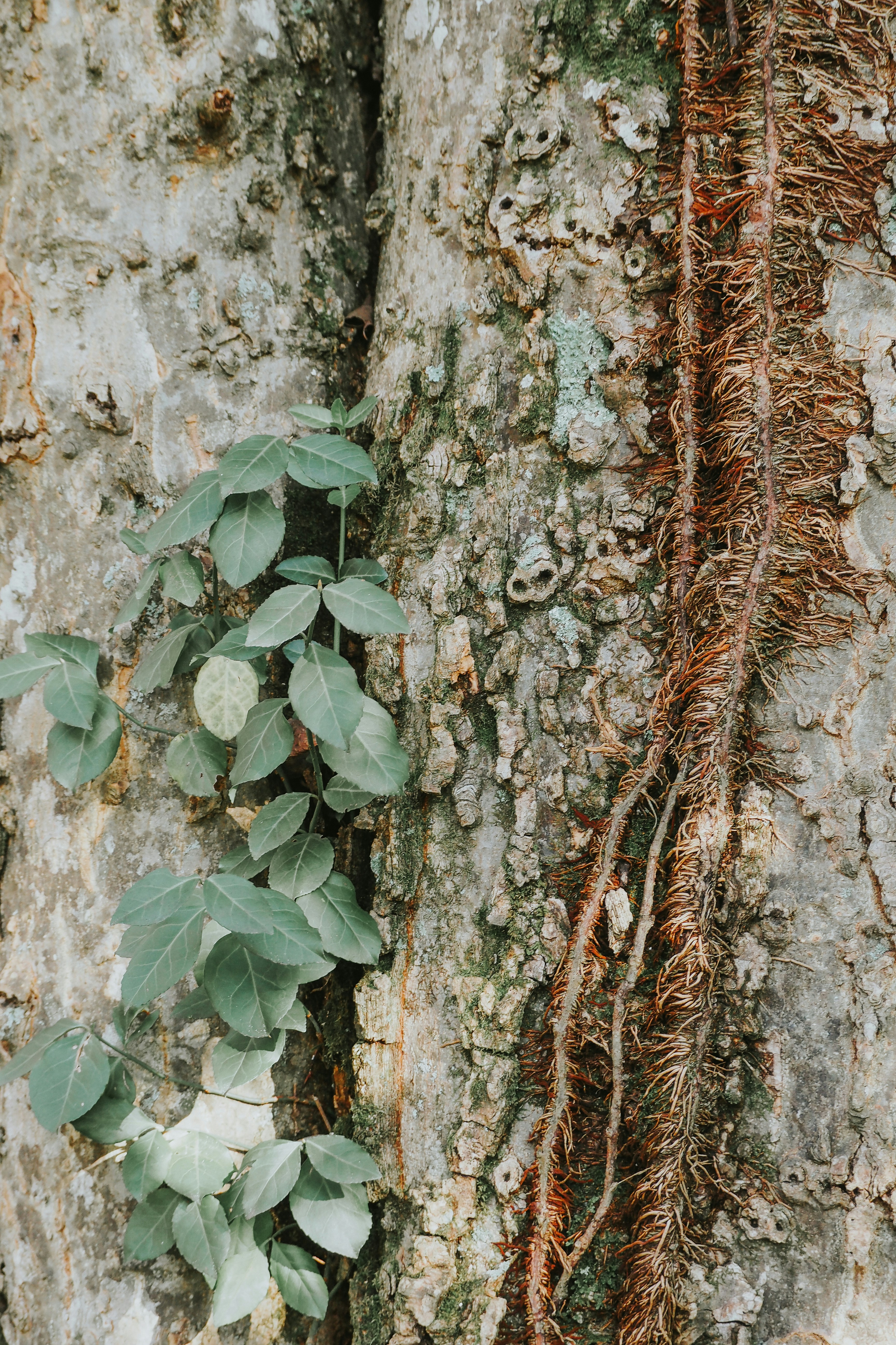 Photo by fieldworkframes