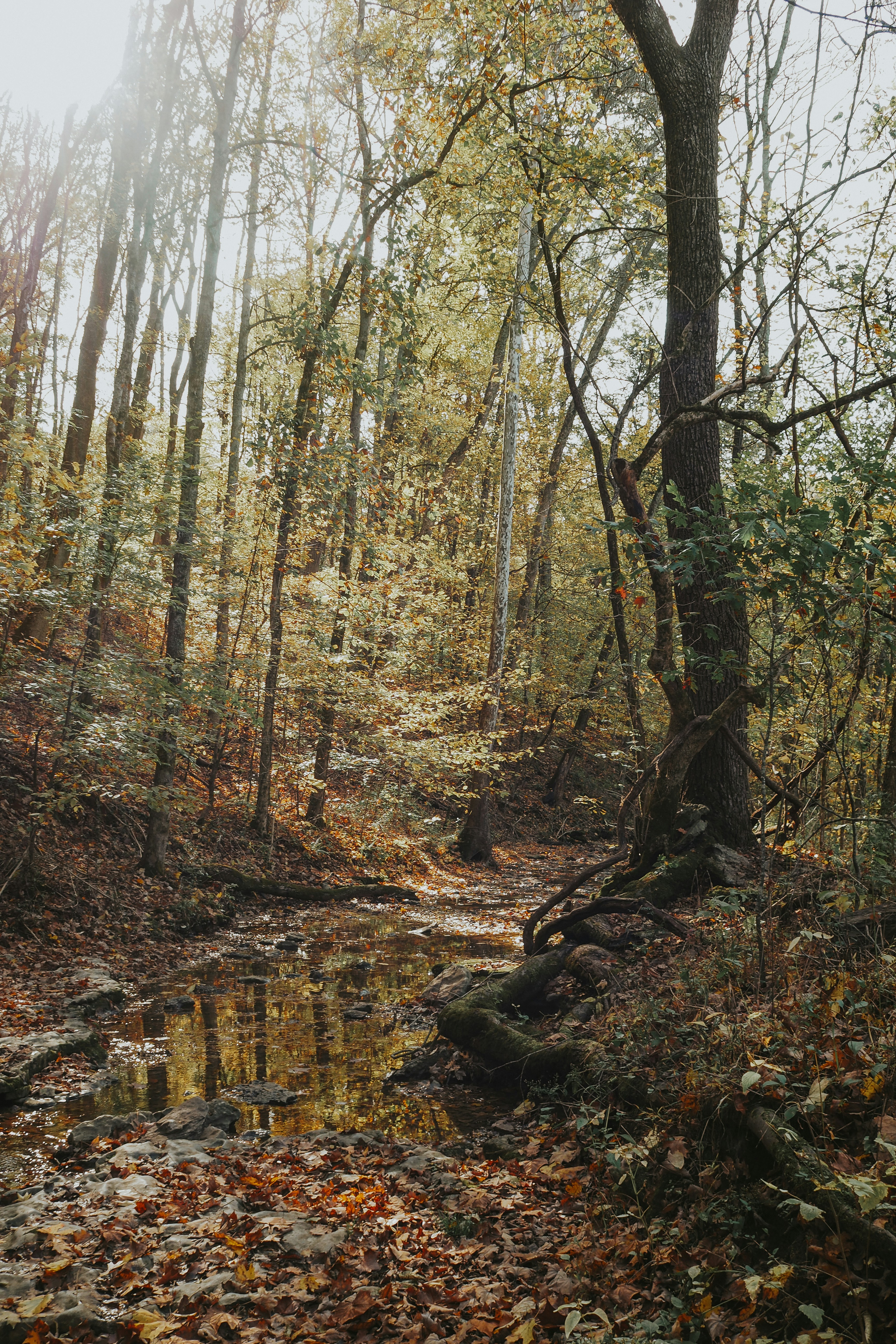 Photo by fieldworkframes