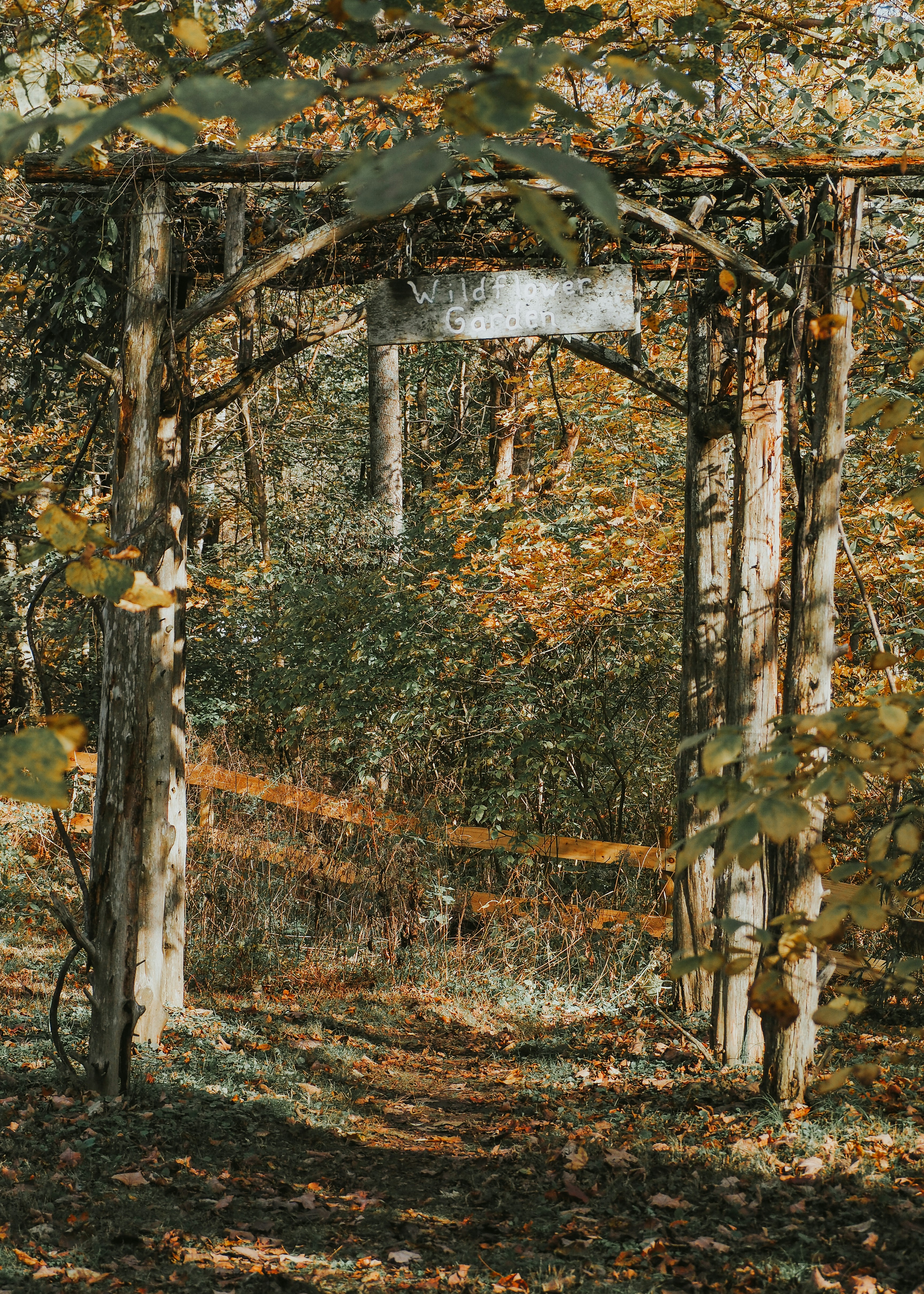 Photo by fieldworkframes