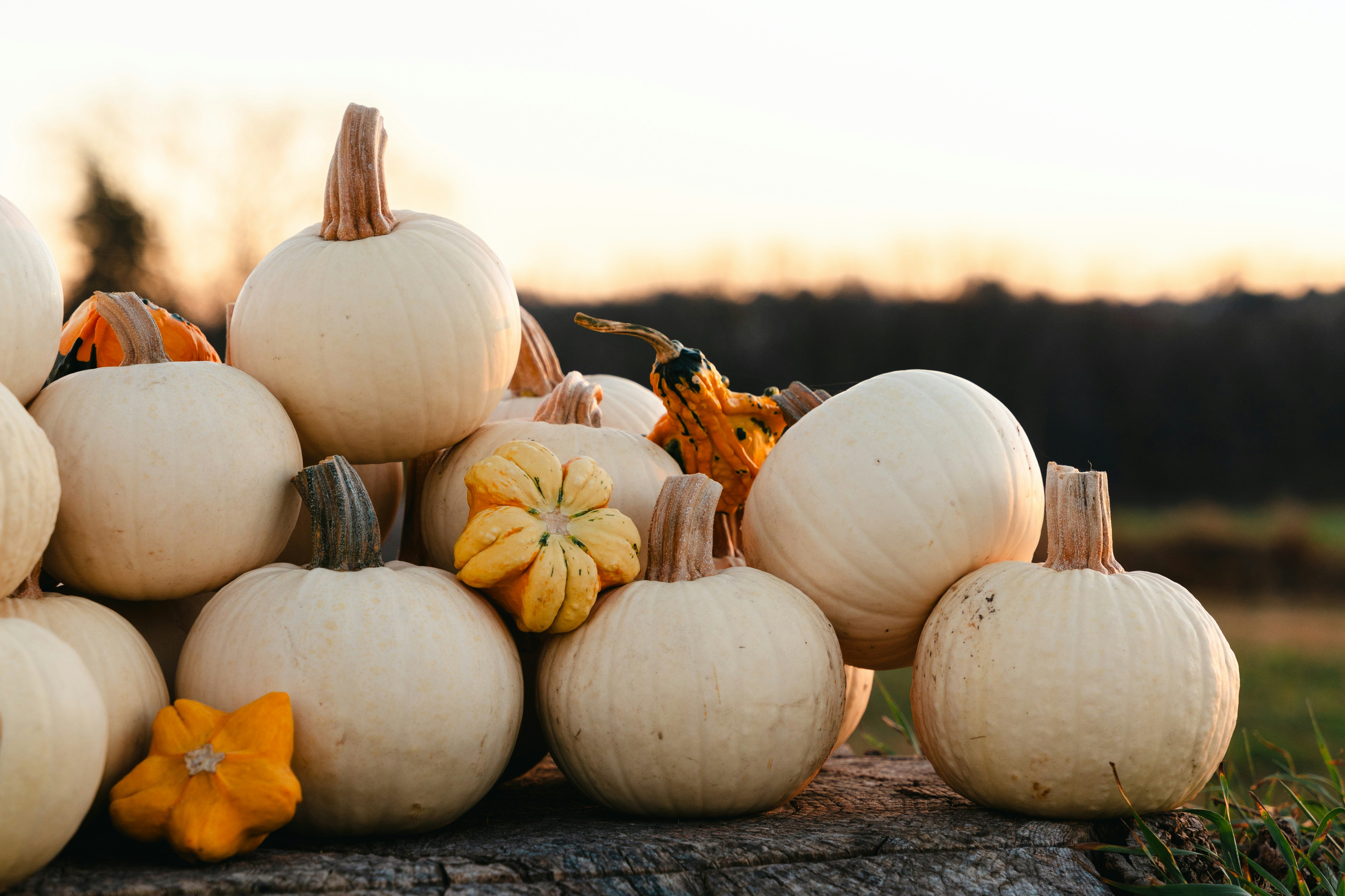 Photo by nellie_adamyan