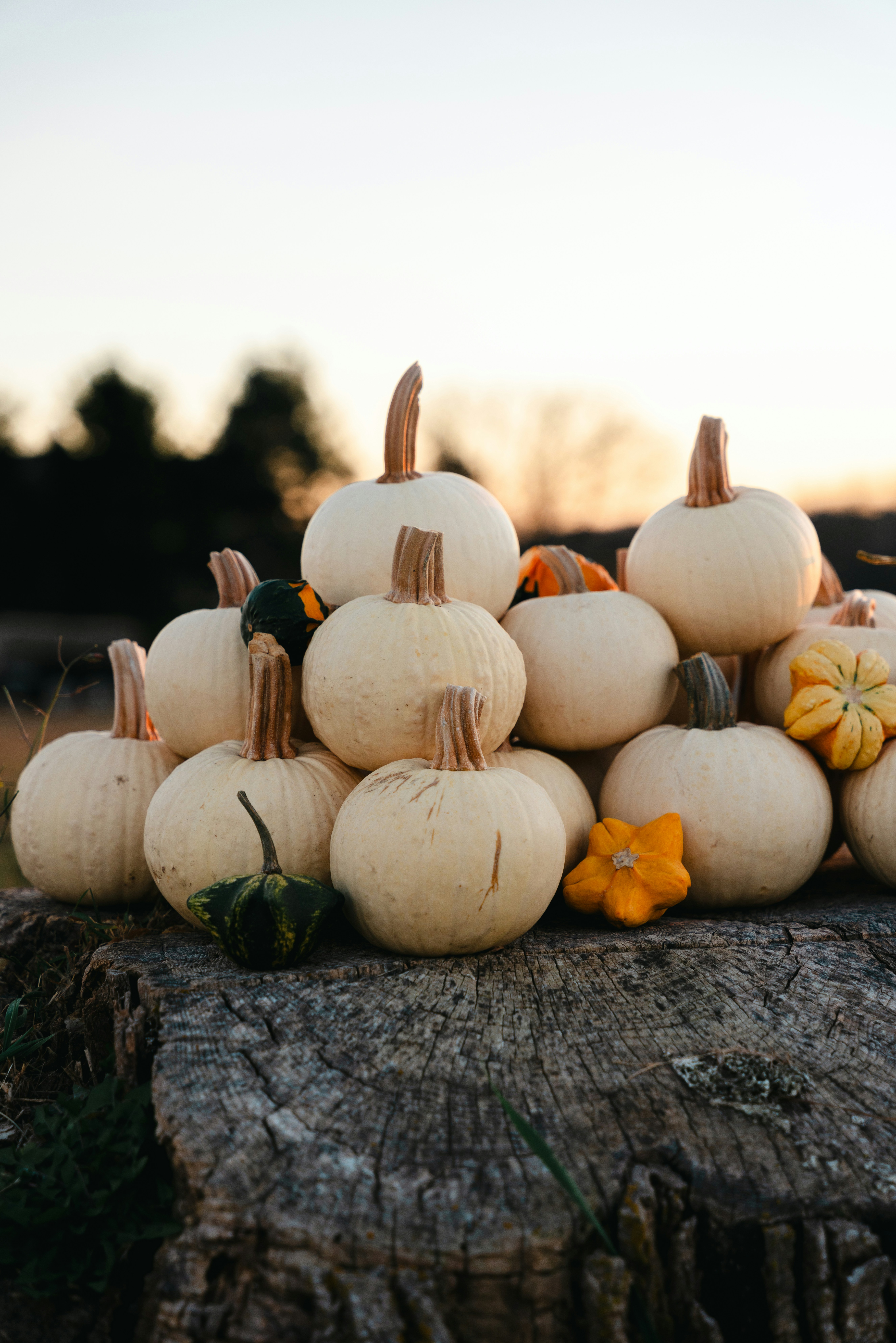 Photo by nellie_adamyan