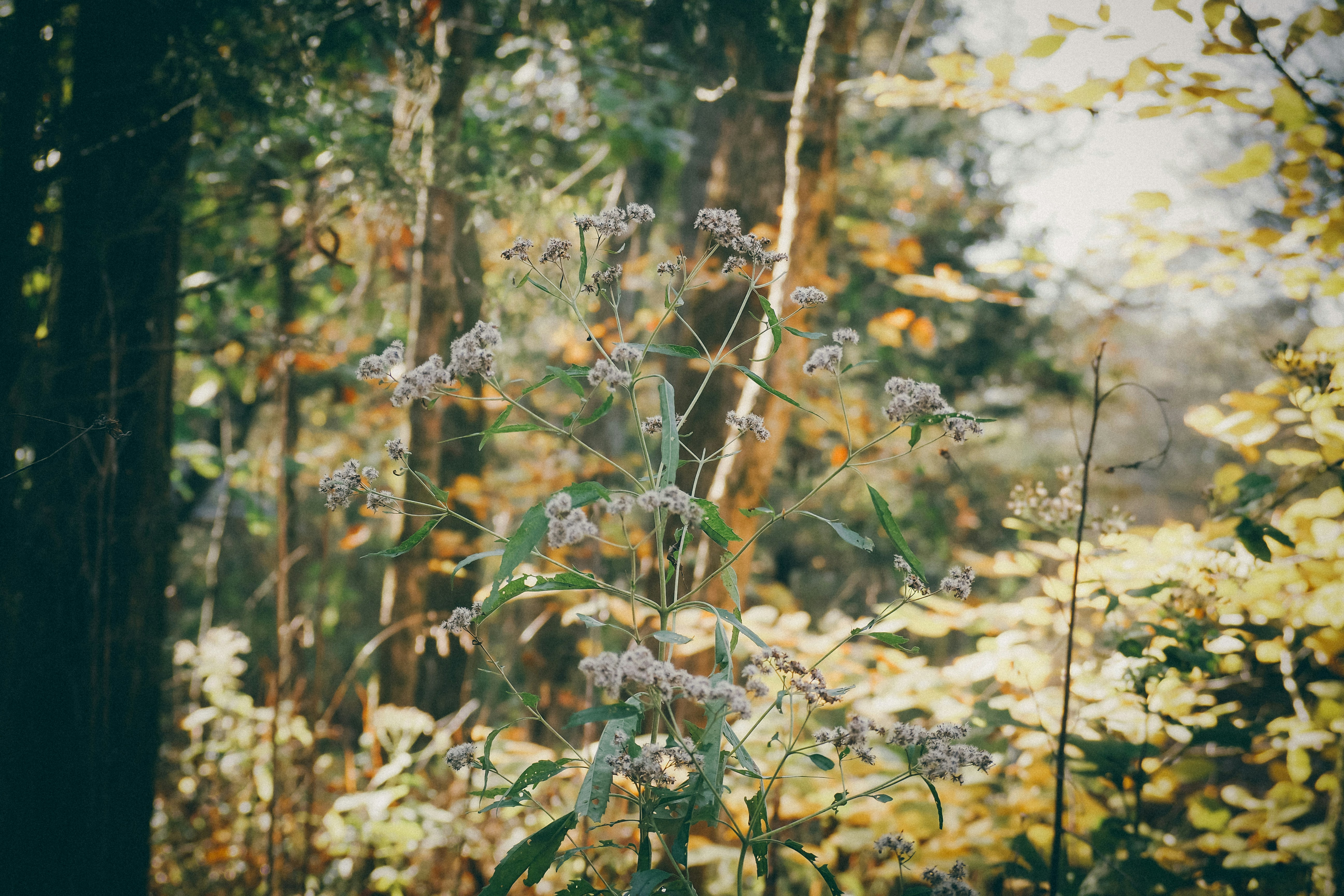 Photo by fieldworkframes