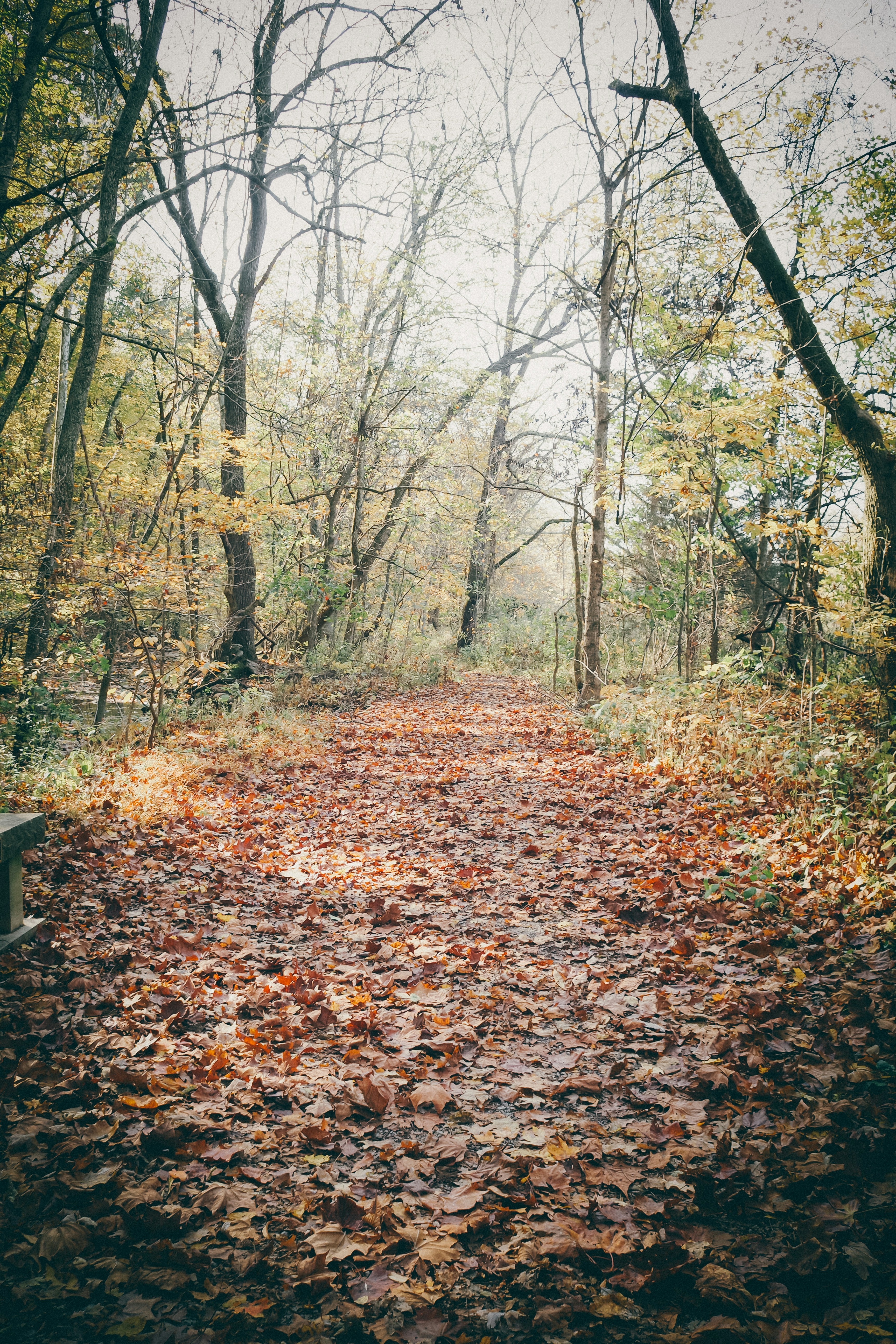 Photo by fieldworkframes