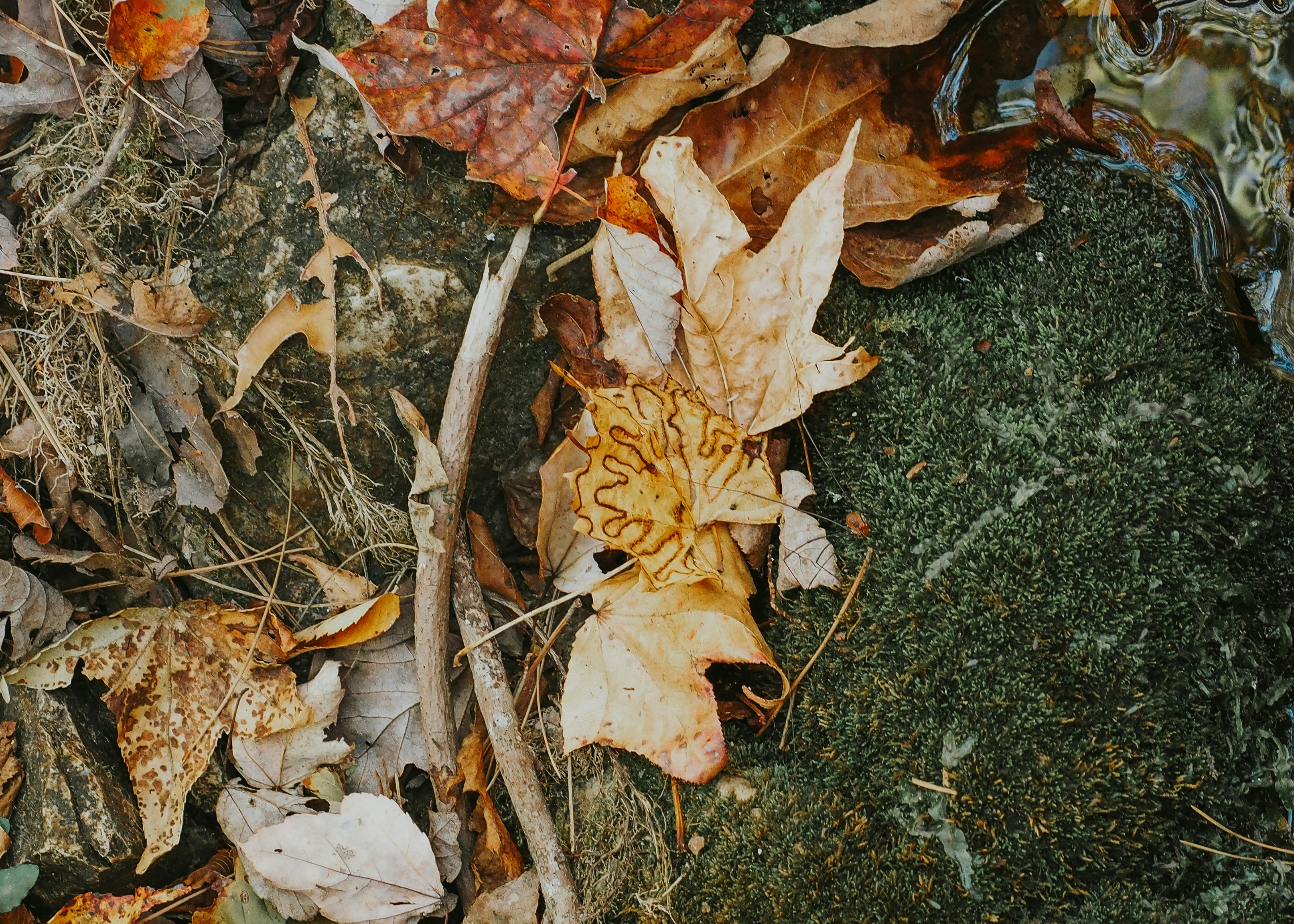 Photo by fieldworkframes