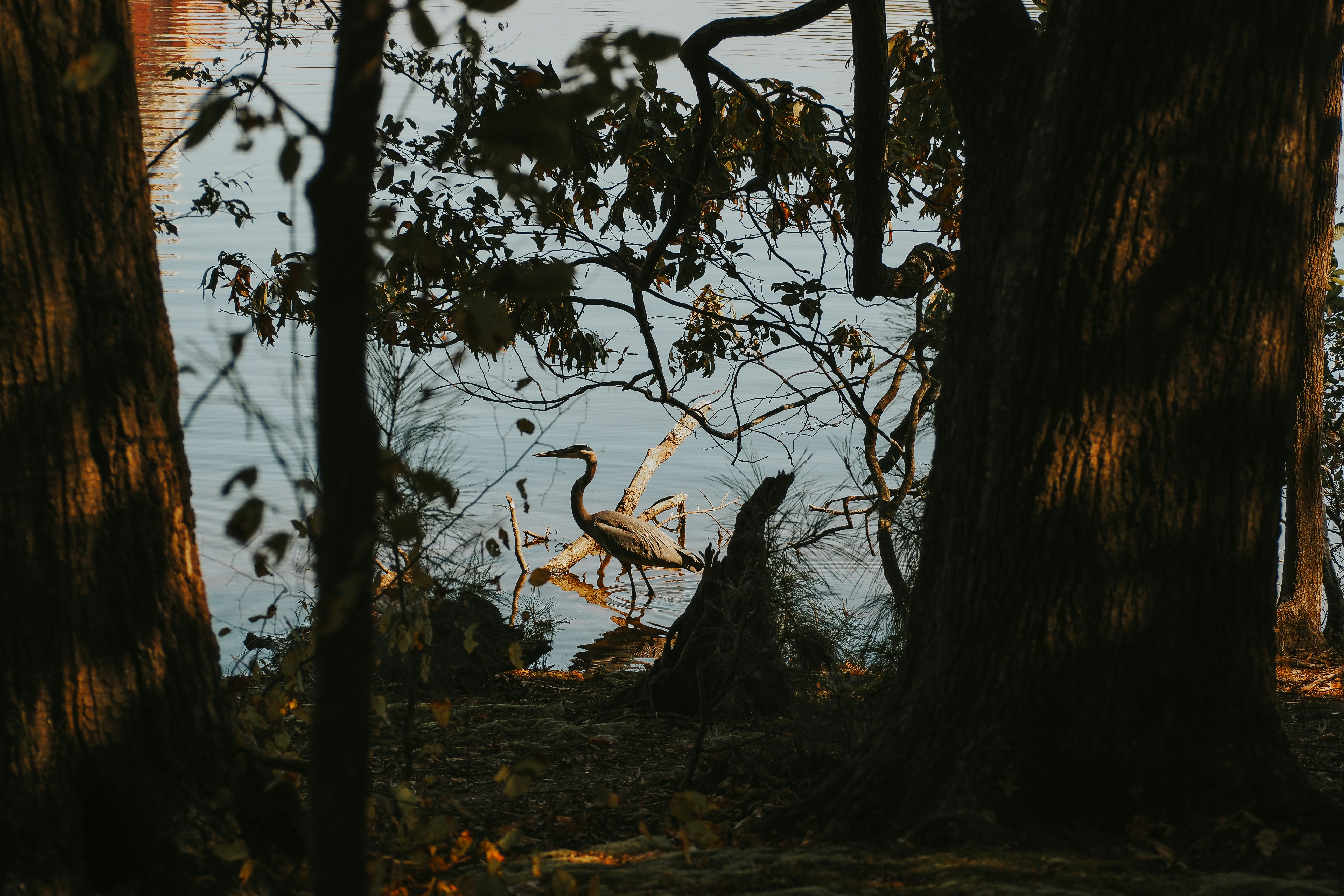 Photo by fieldworkframes