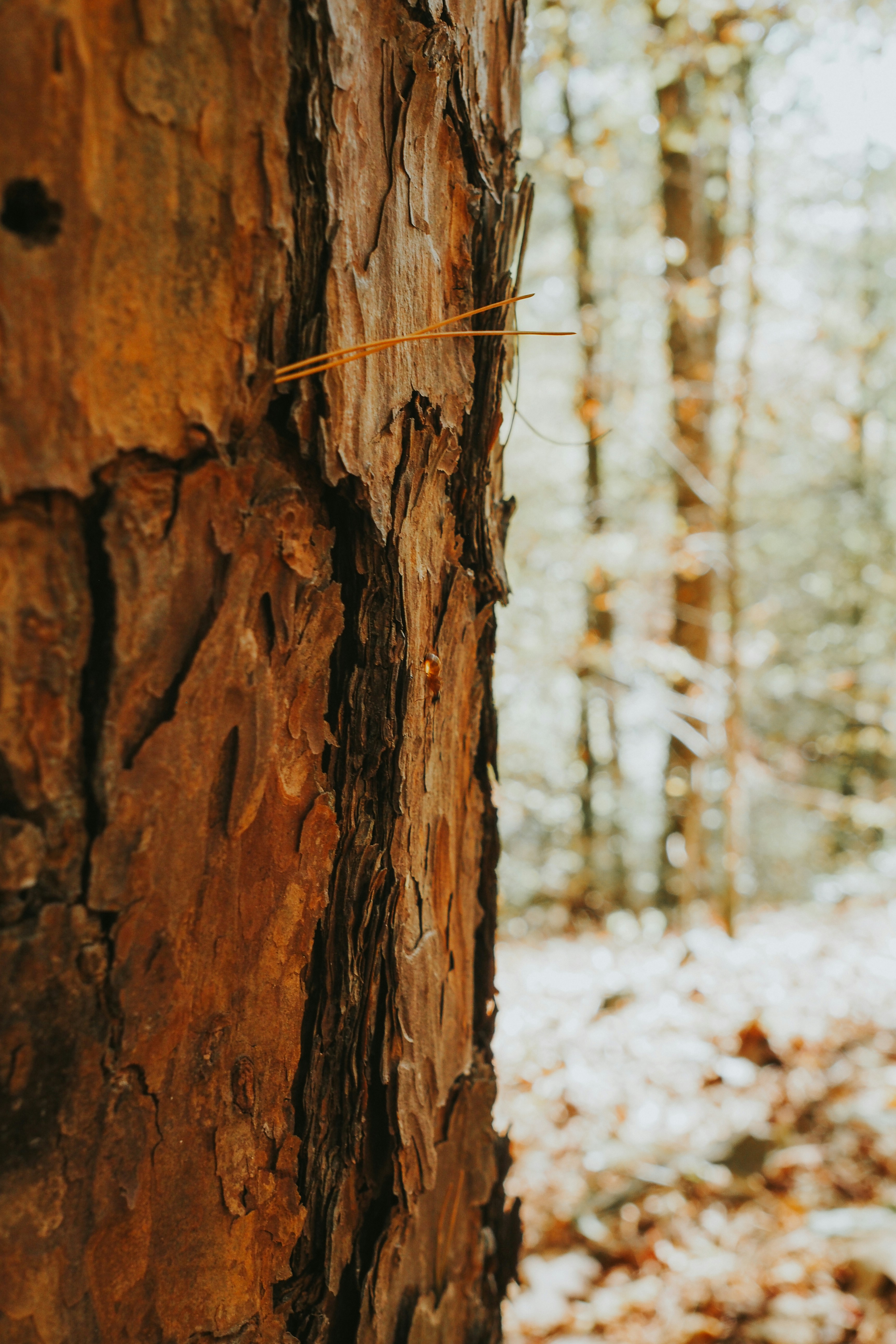 Photo by fieldworkframes