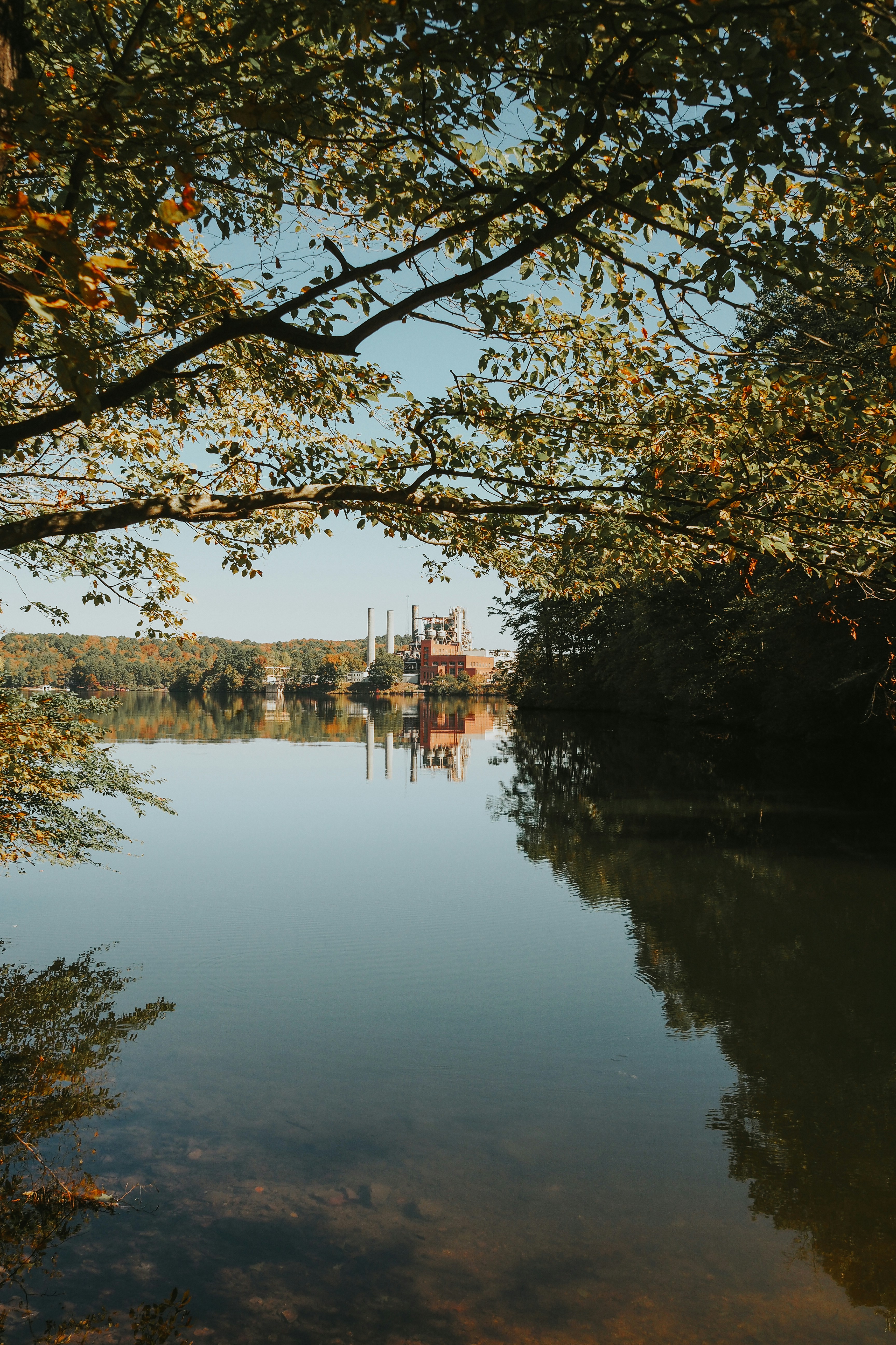 Photo by fieldworkframes