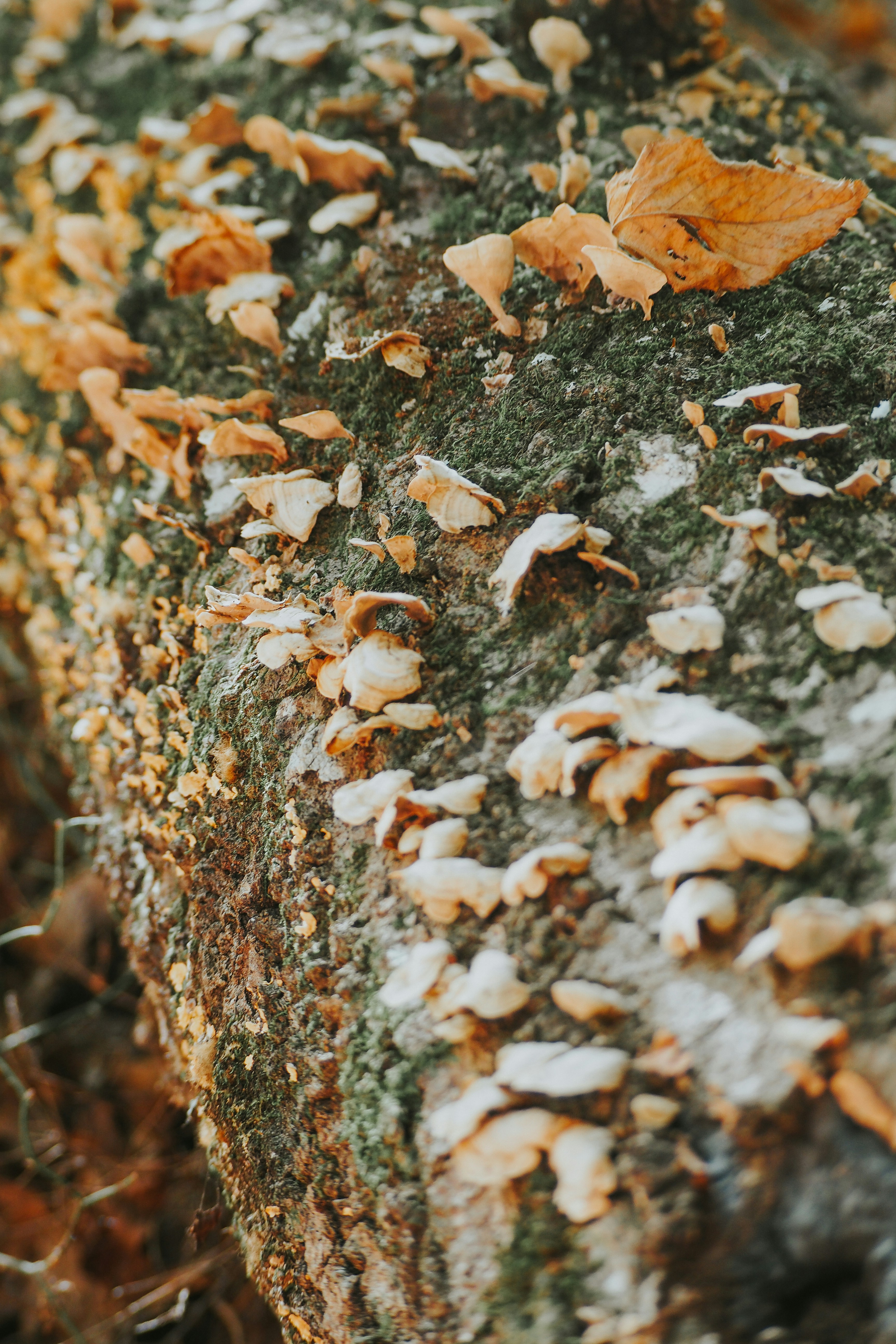 Photo by fieldworkframes