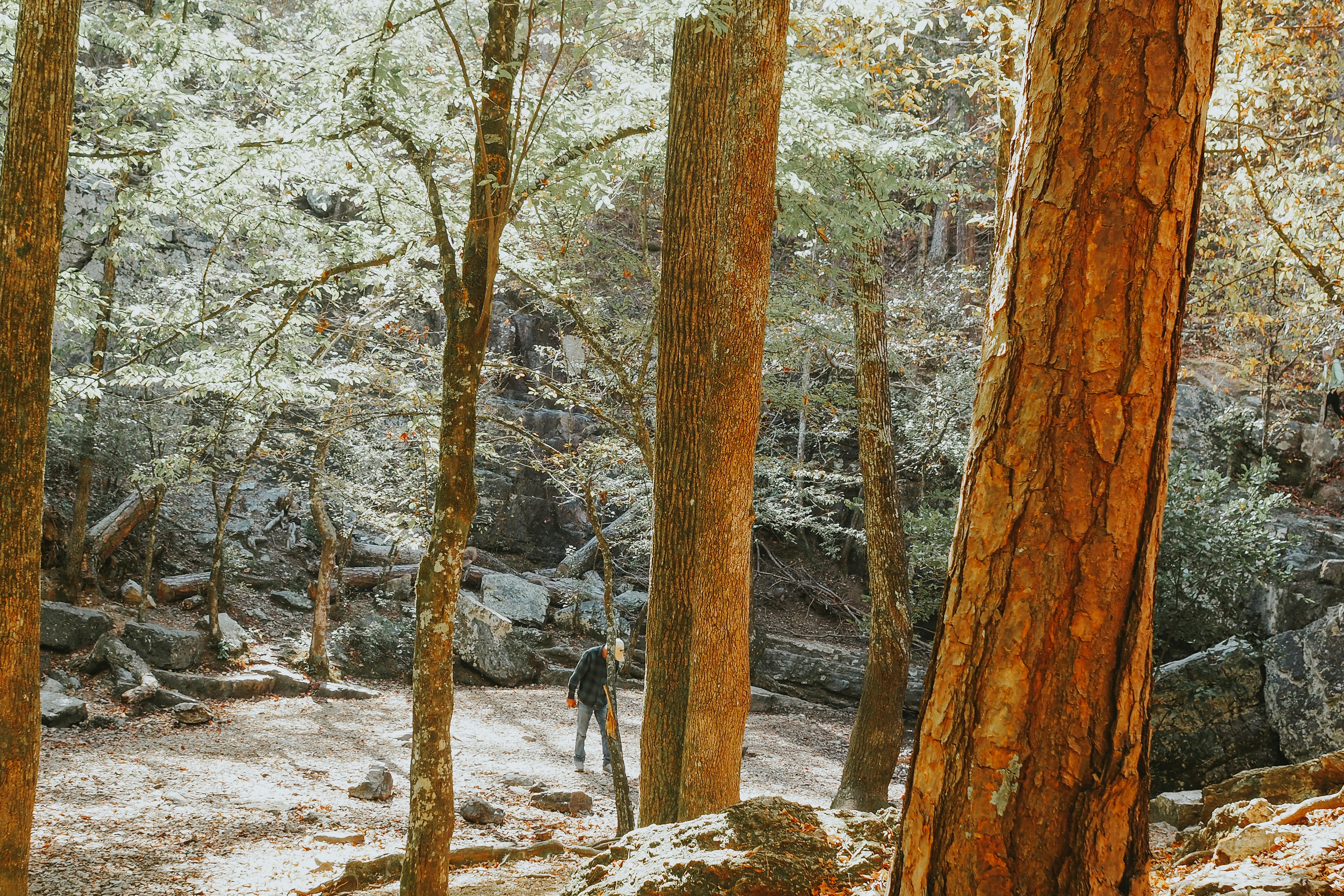 Photo by fieldworkframes