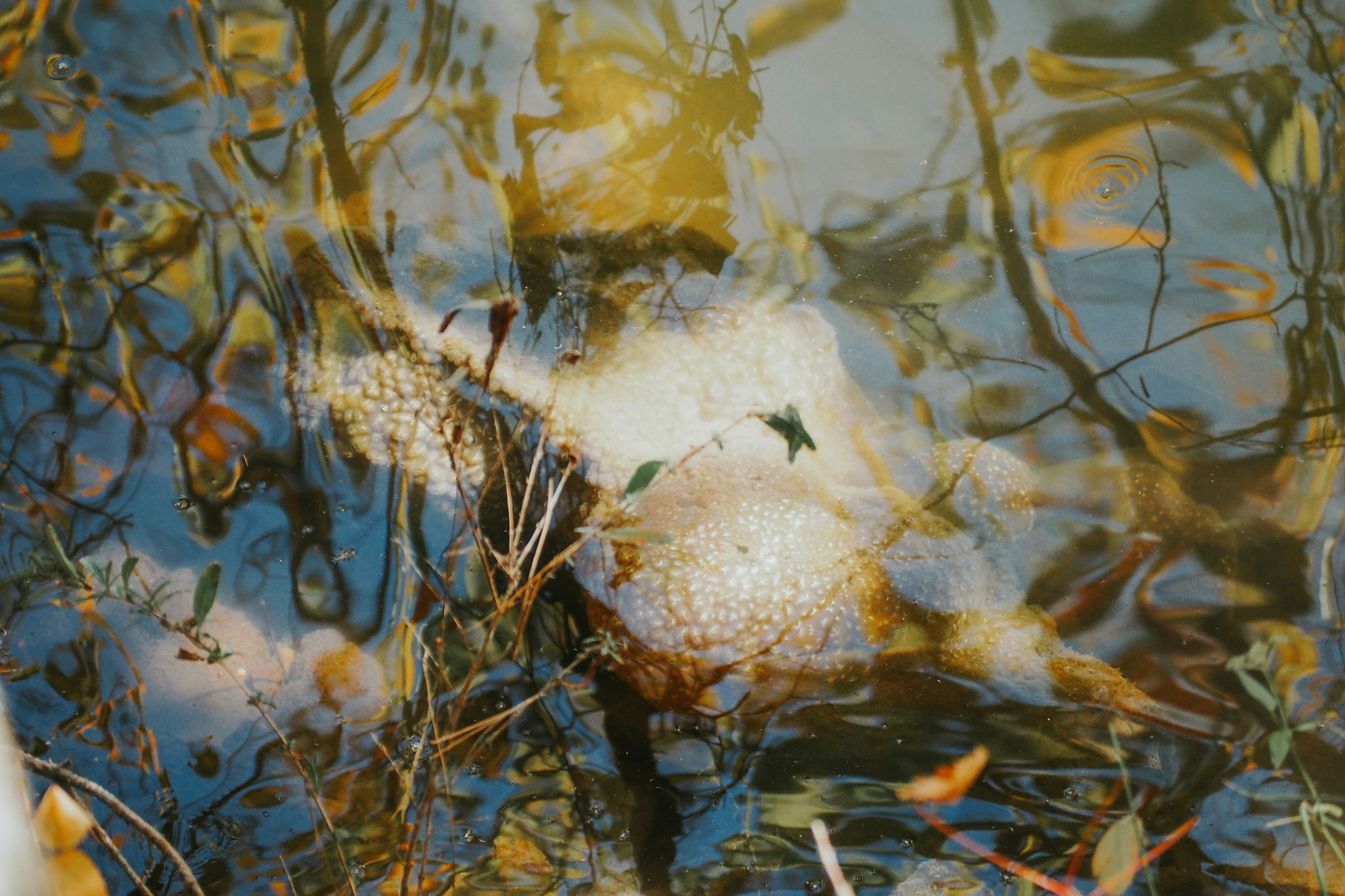 Photo by fieldworkframes