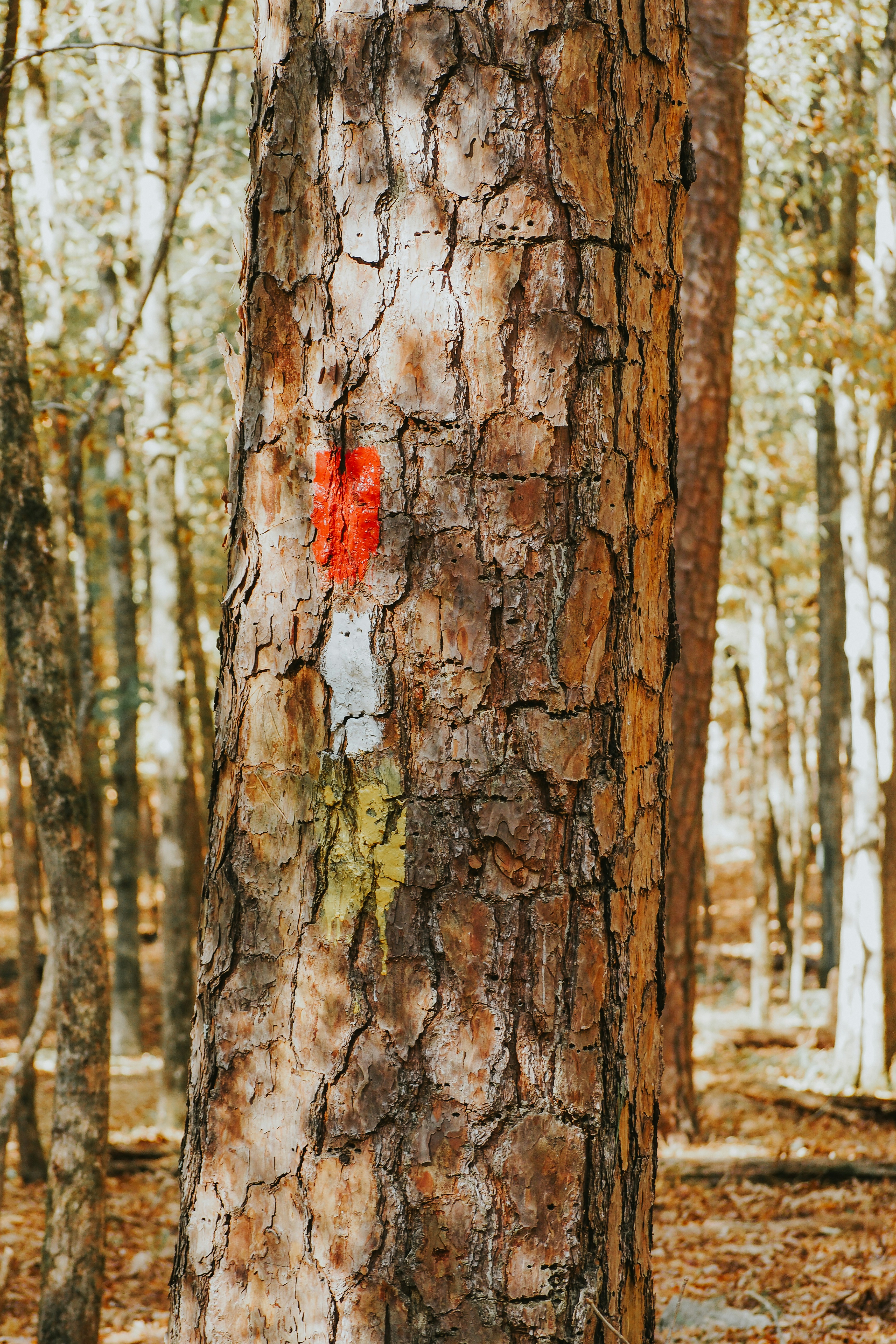 Photo by fieldworkframes