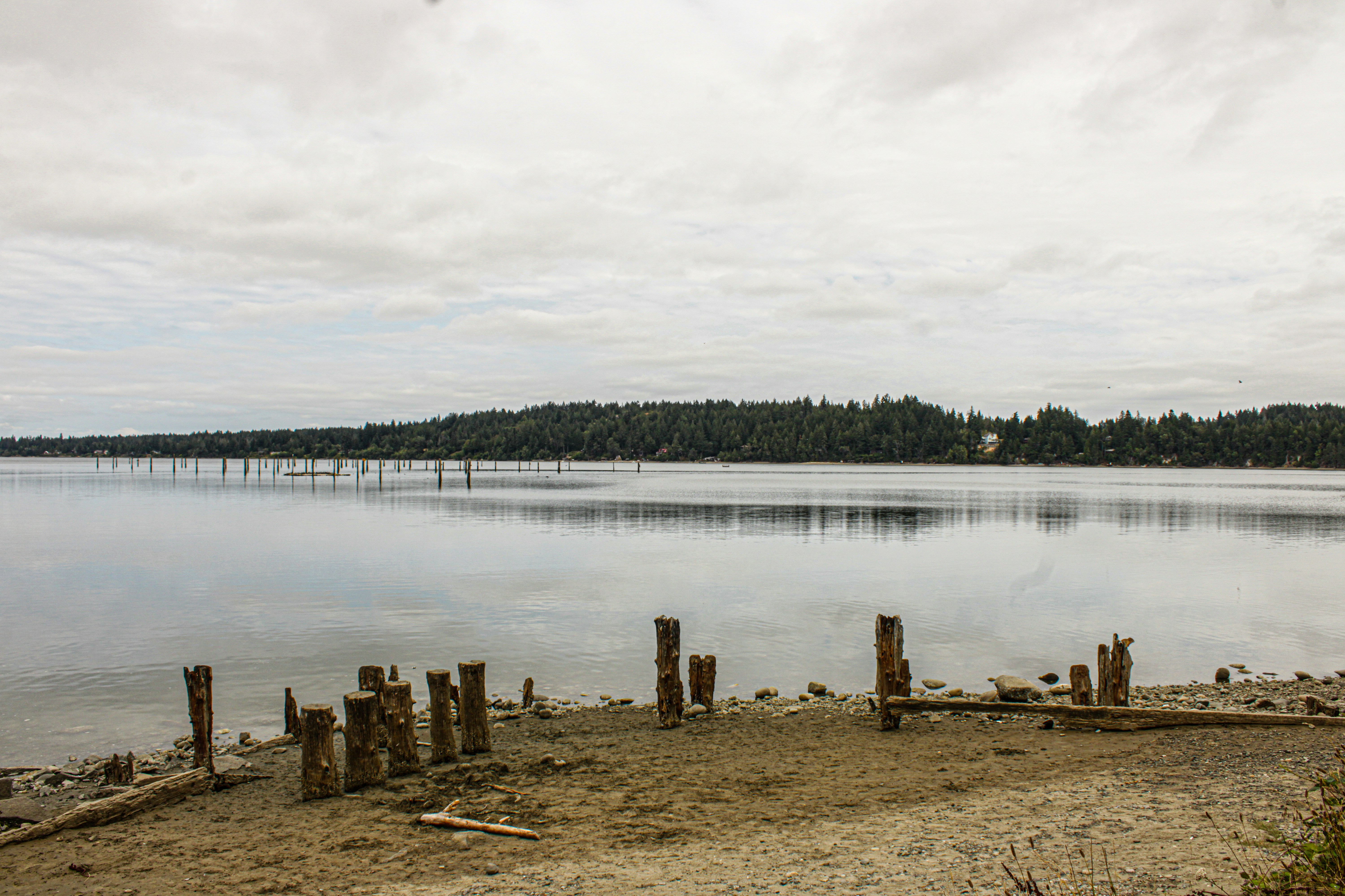 Photo by prphotography262