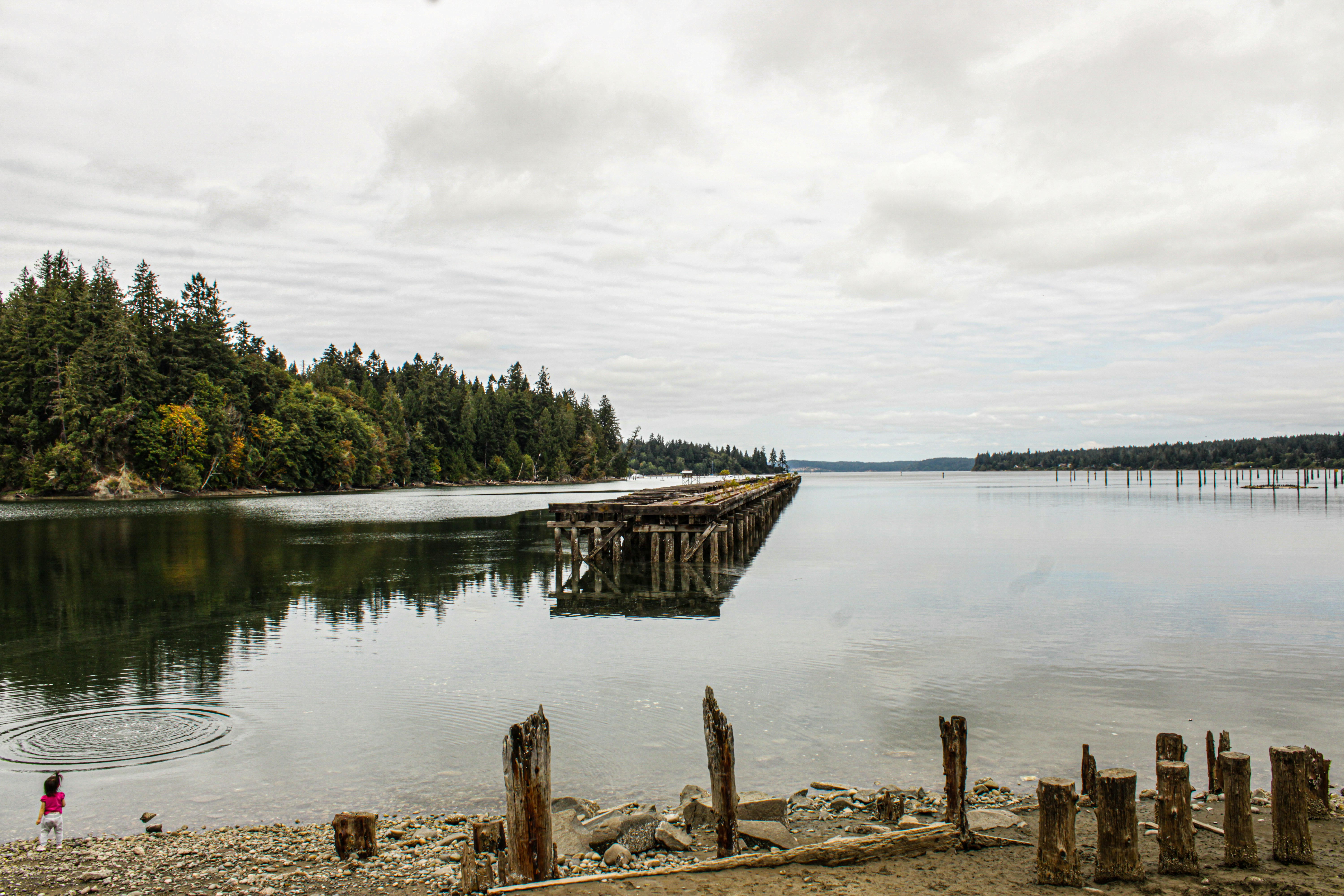 Photo by prphotography262