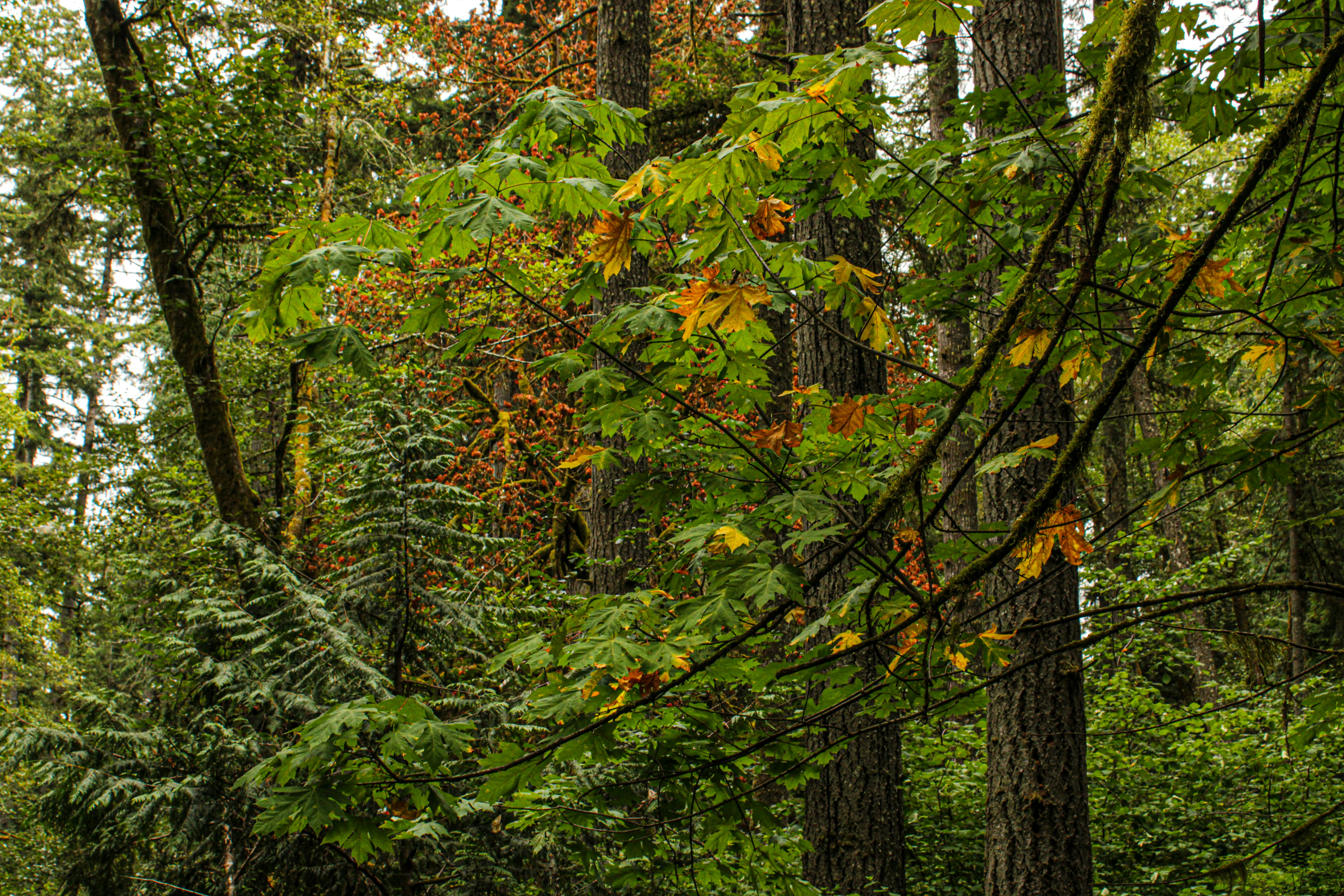 Photo by prphotography262