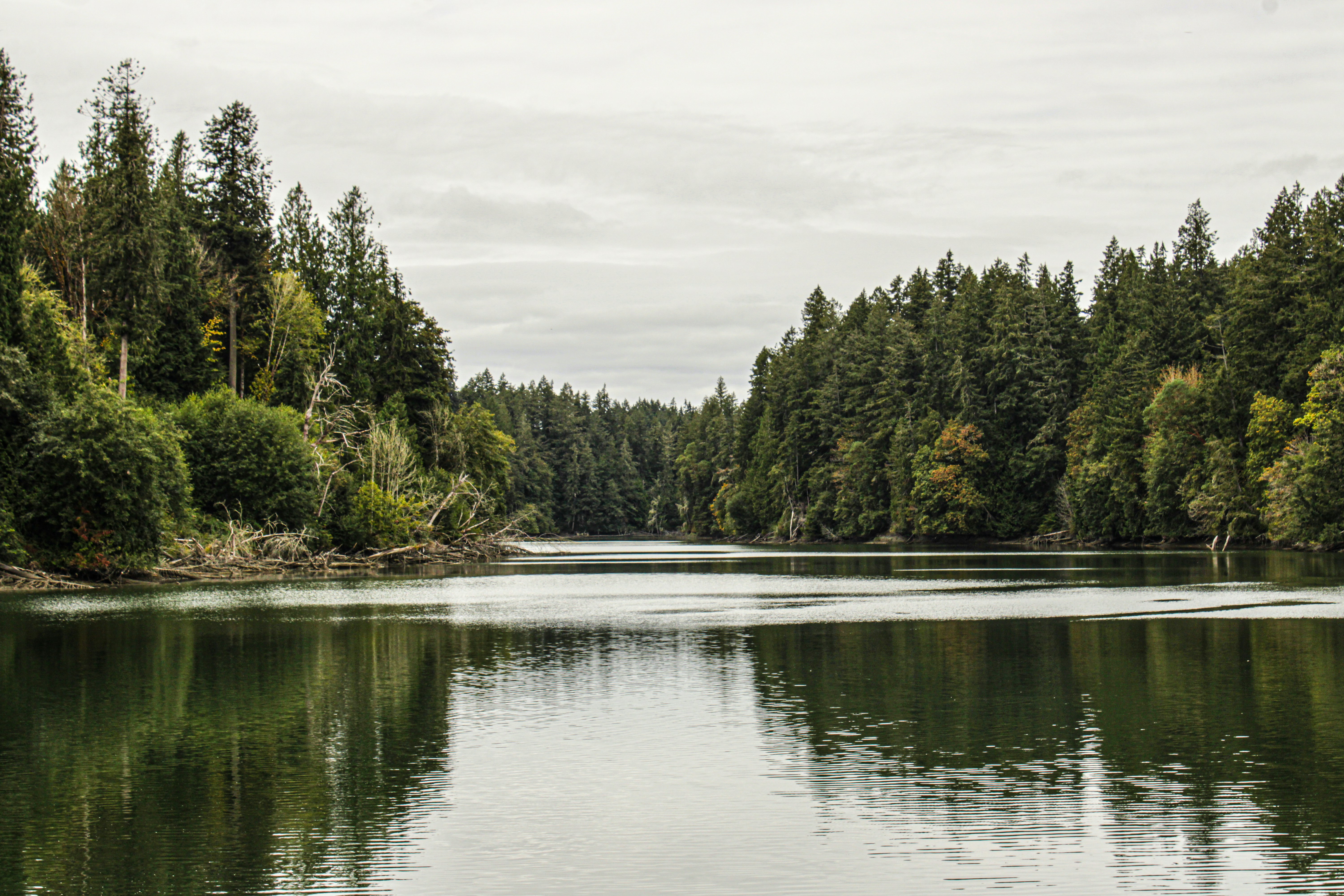 Photo by prphotography262