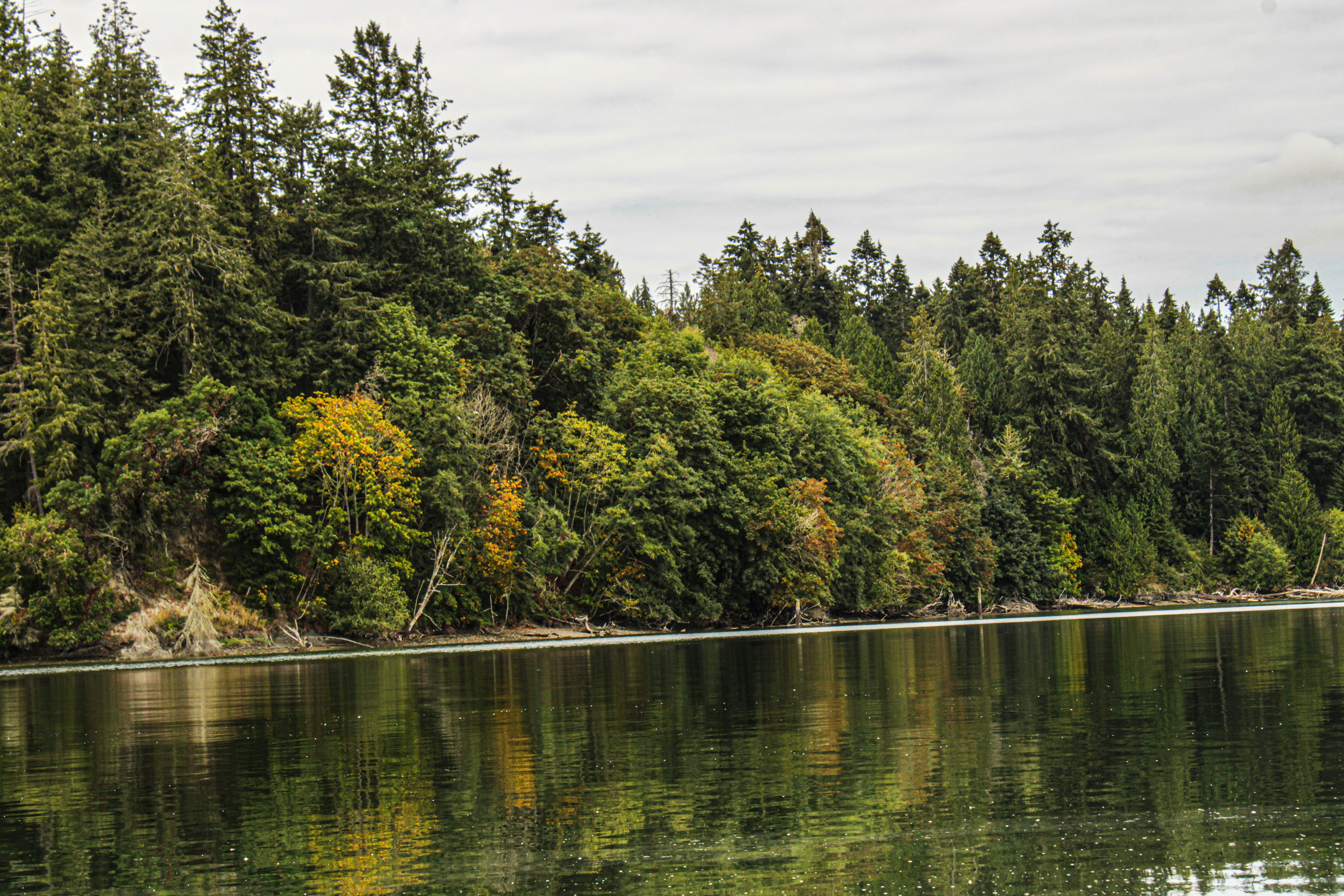 Photo by prphotography262