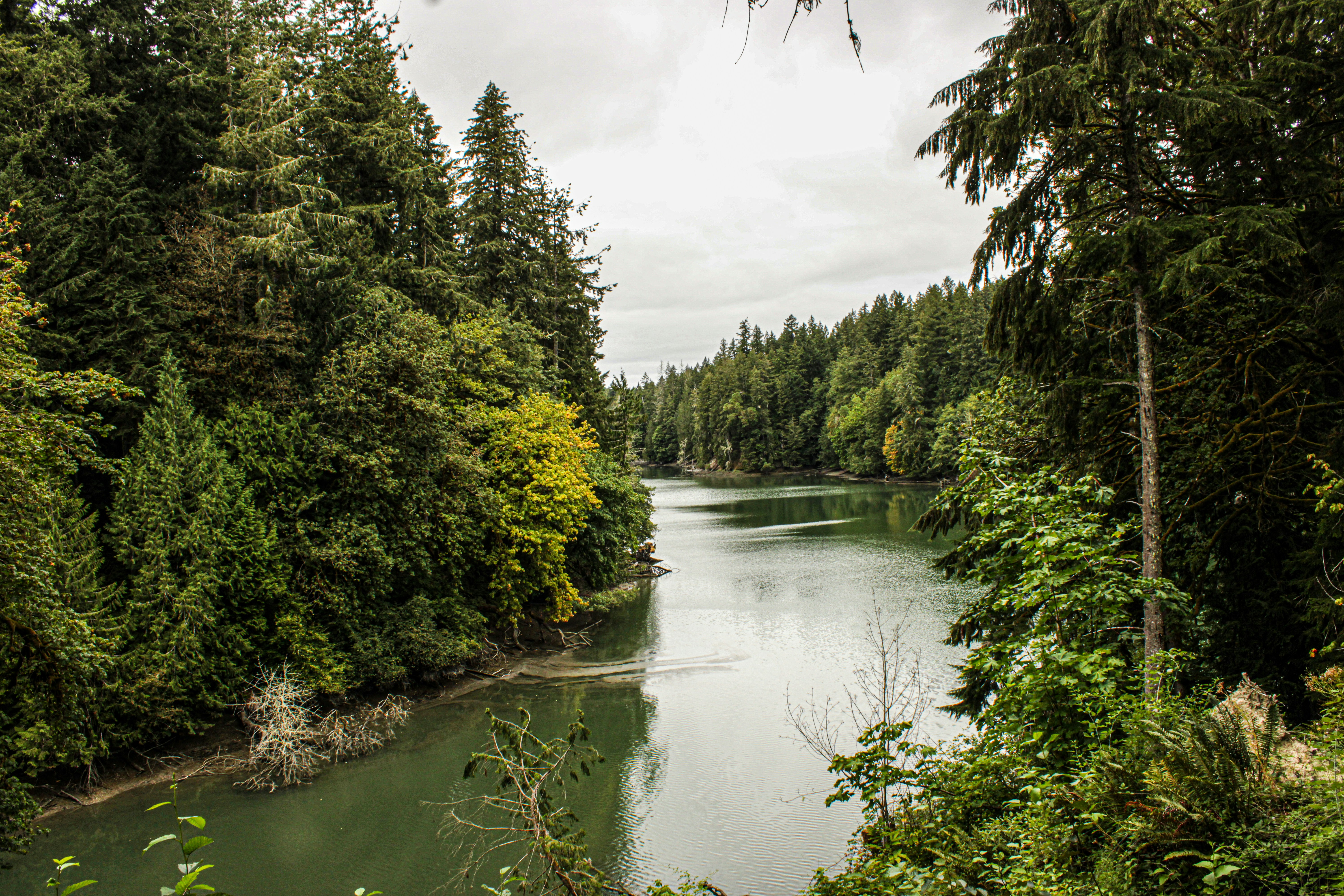 Photo by prphotography262