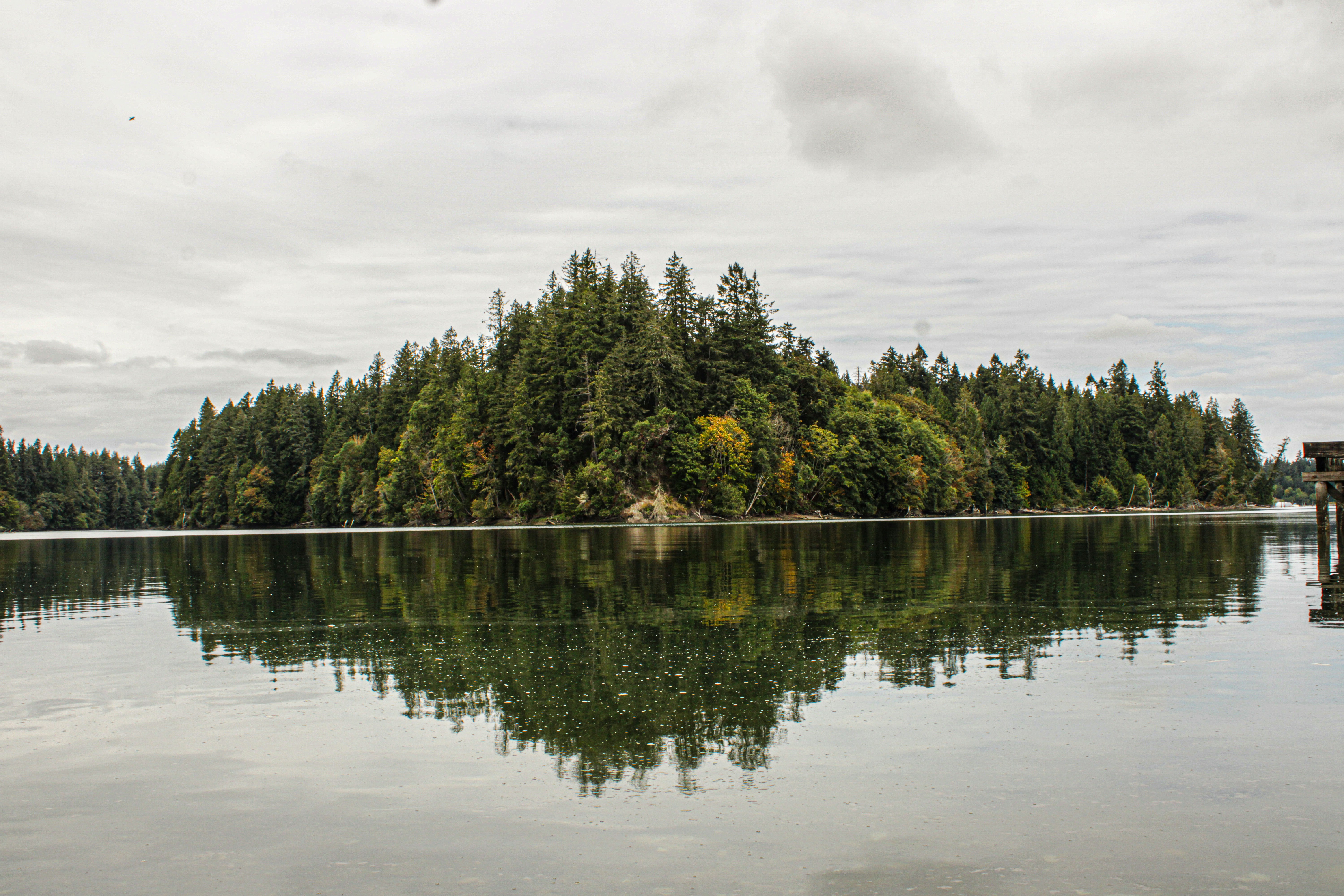 Photo by prphotography262