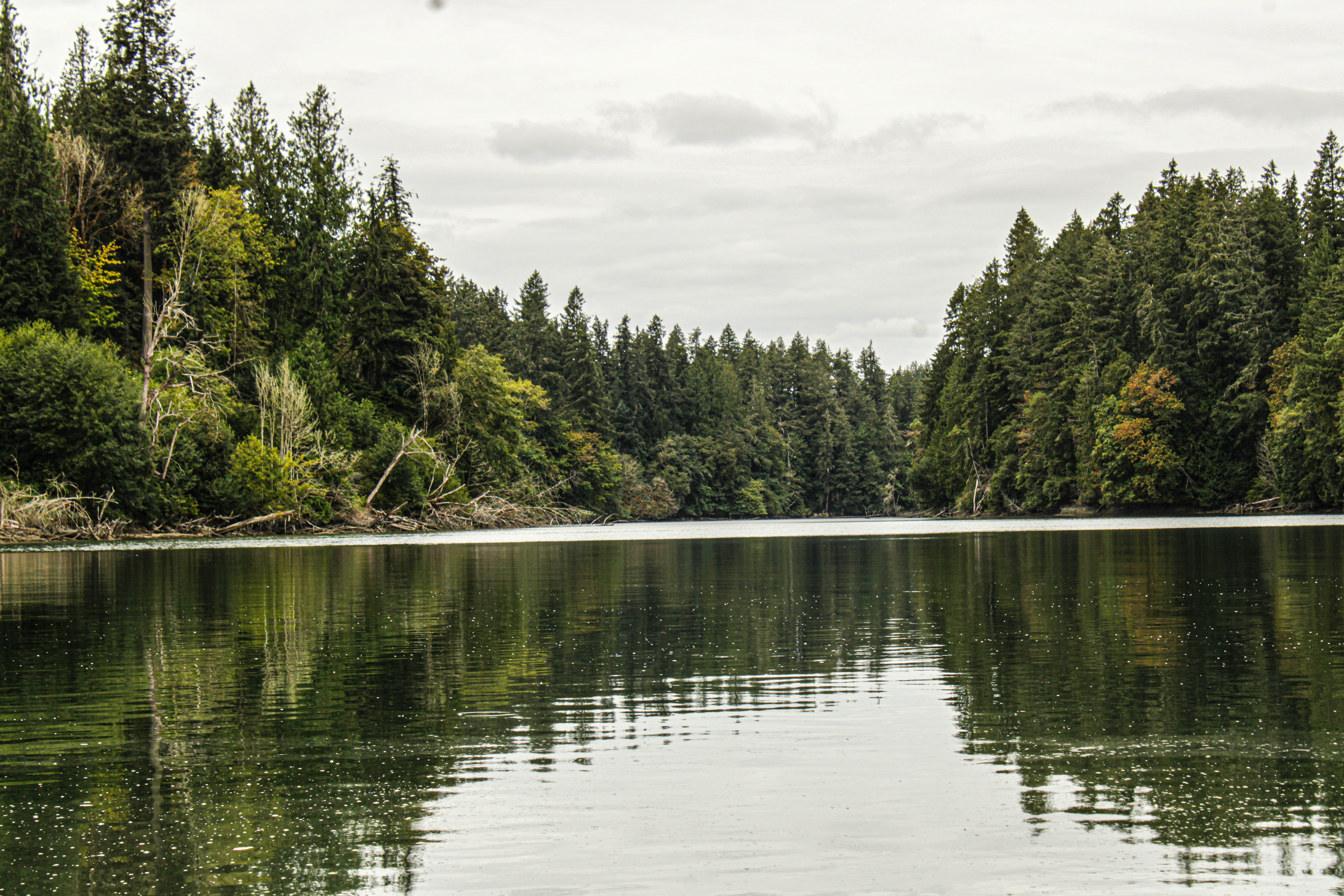 Photo by prphotography262