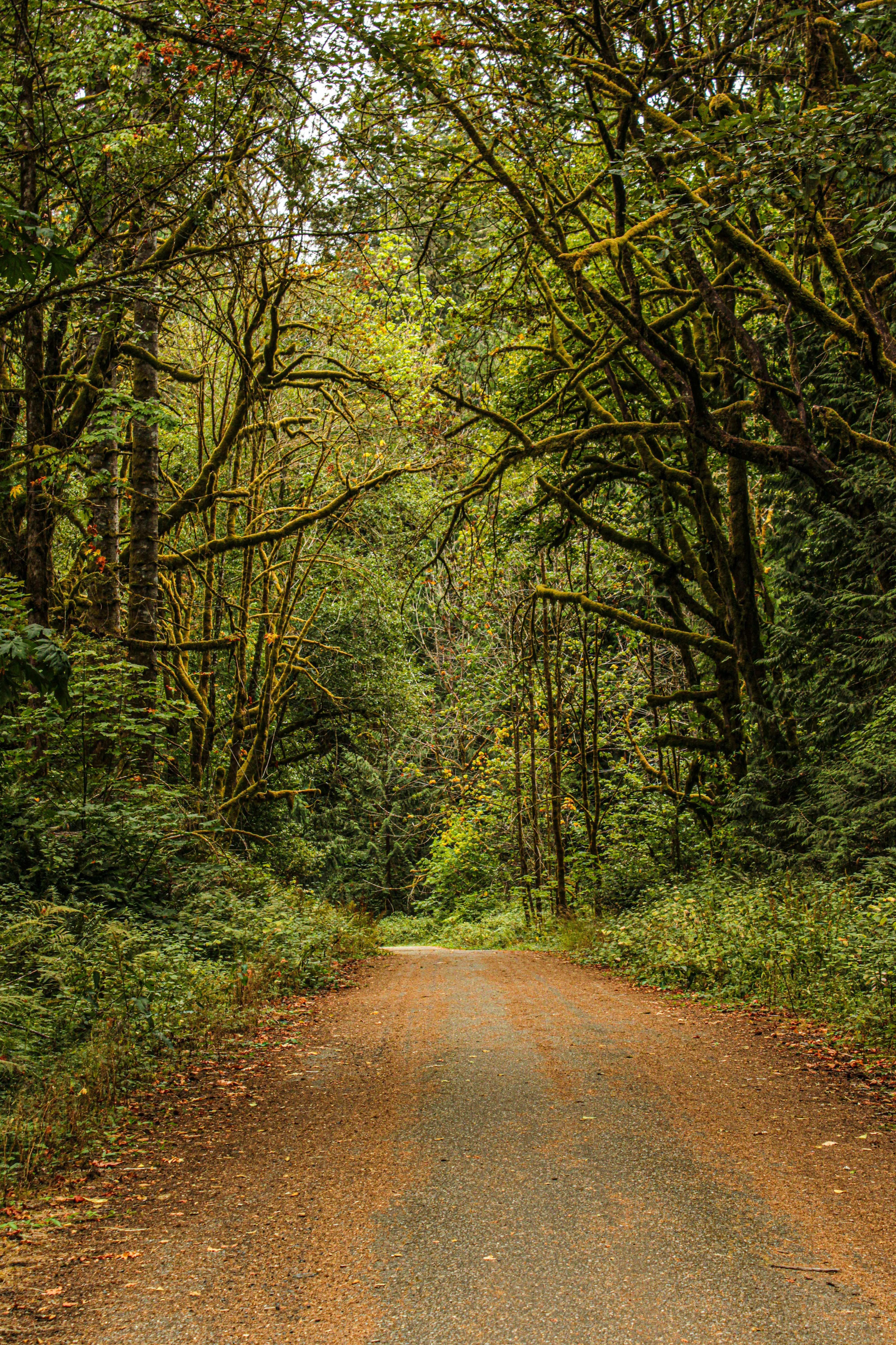 Photo by prphotography262