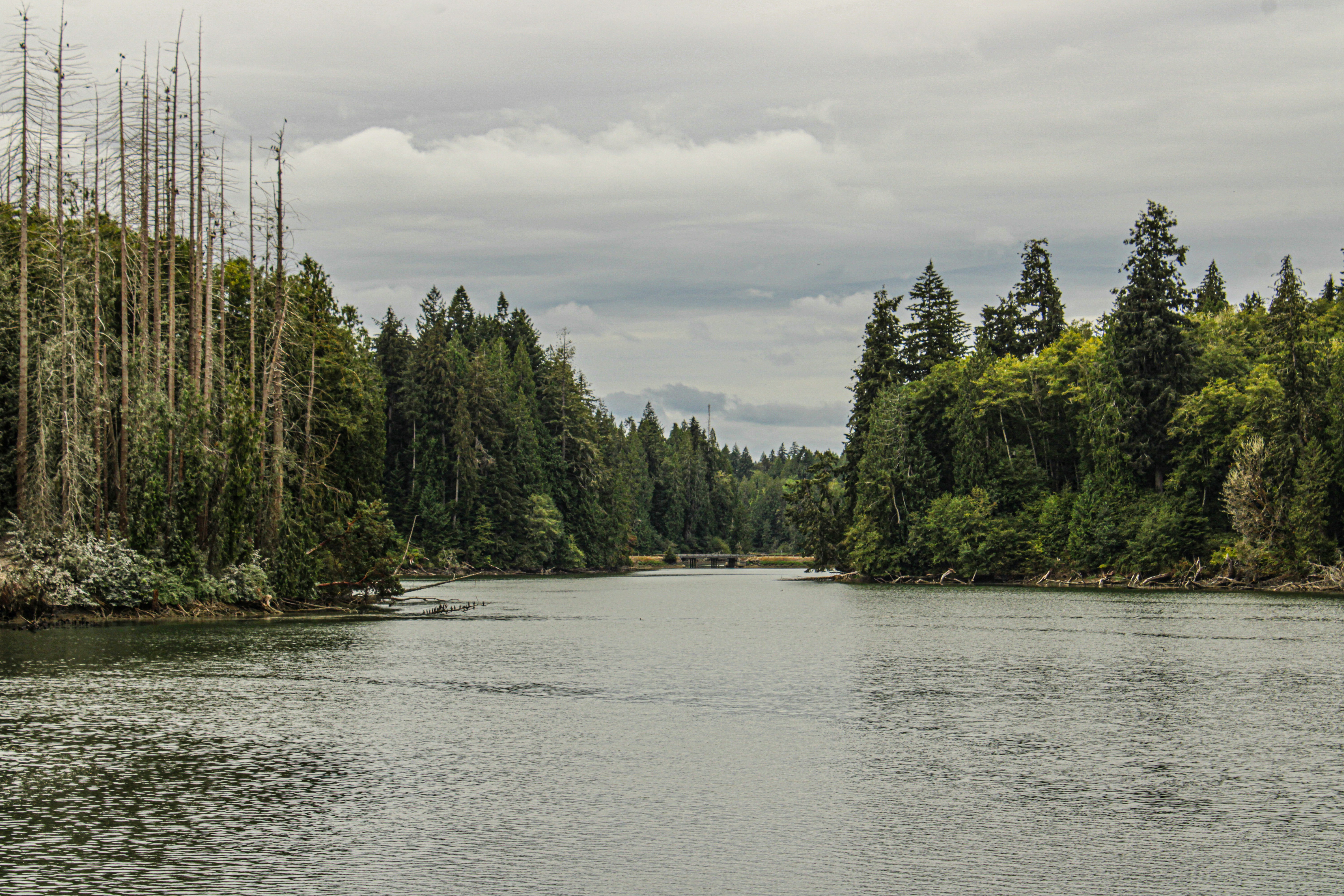 Photo by prphotography262