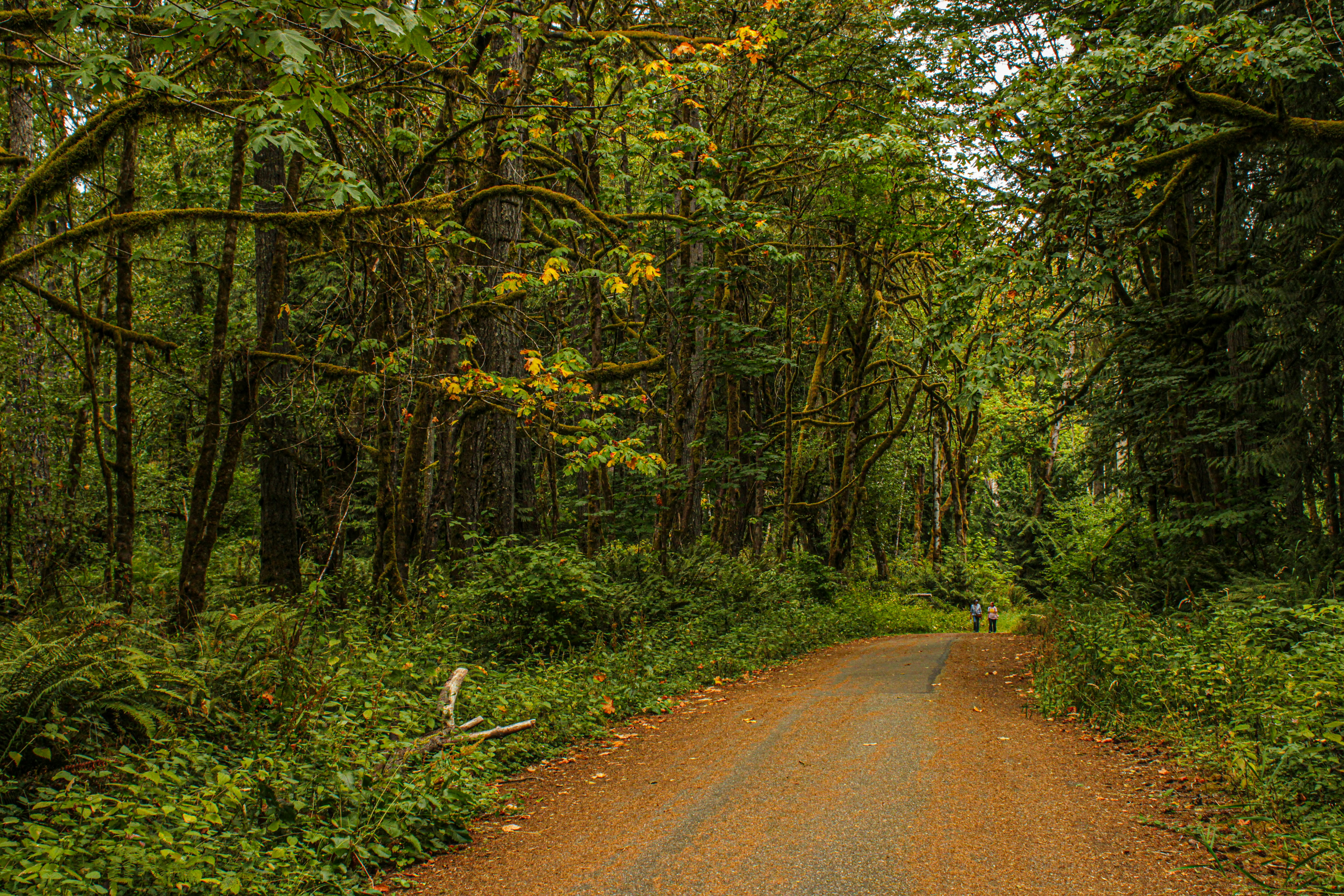 Photo by prphotography262