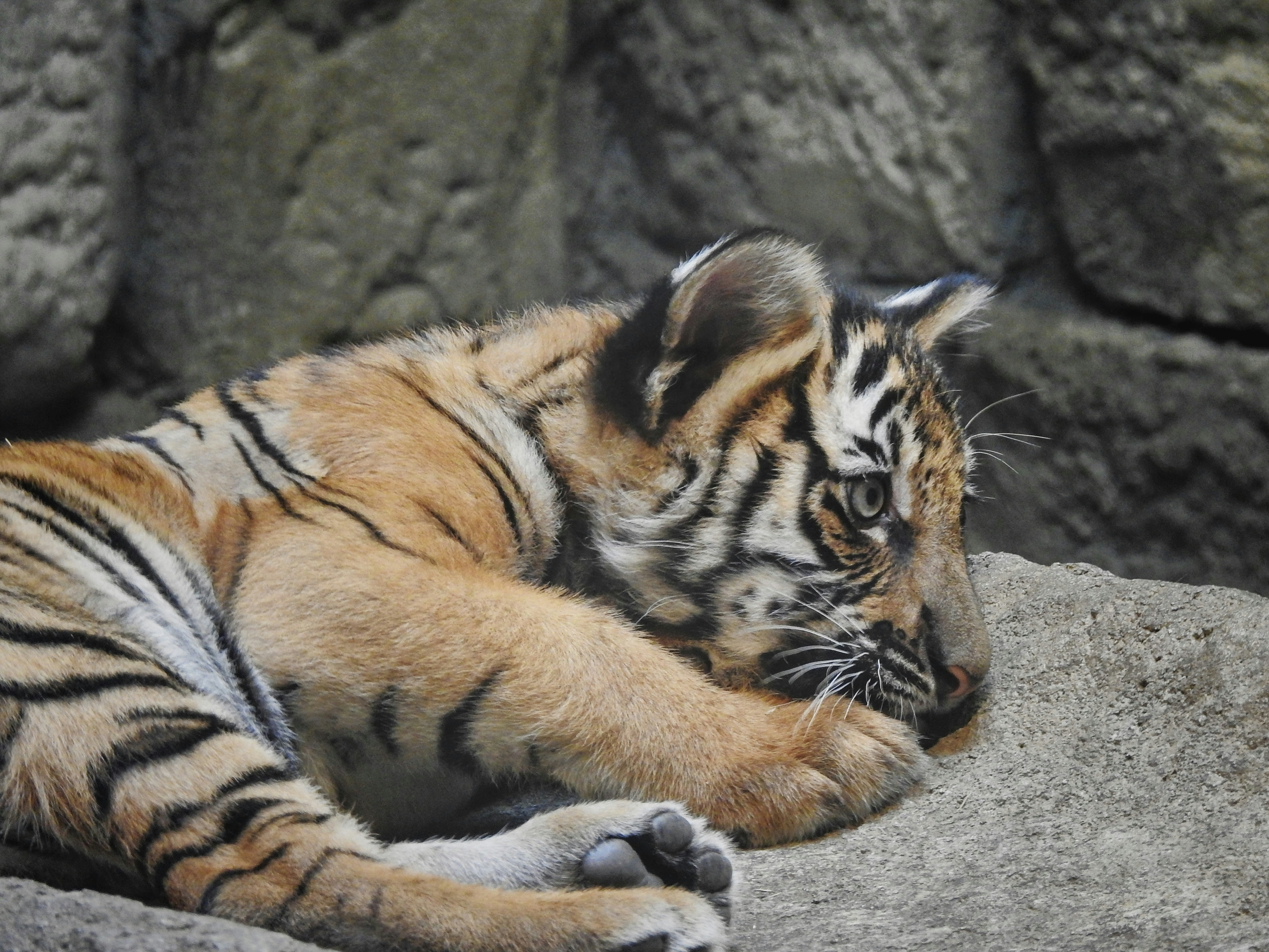 15. Testing New Boundaries (image credits: unsplash)