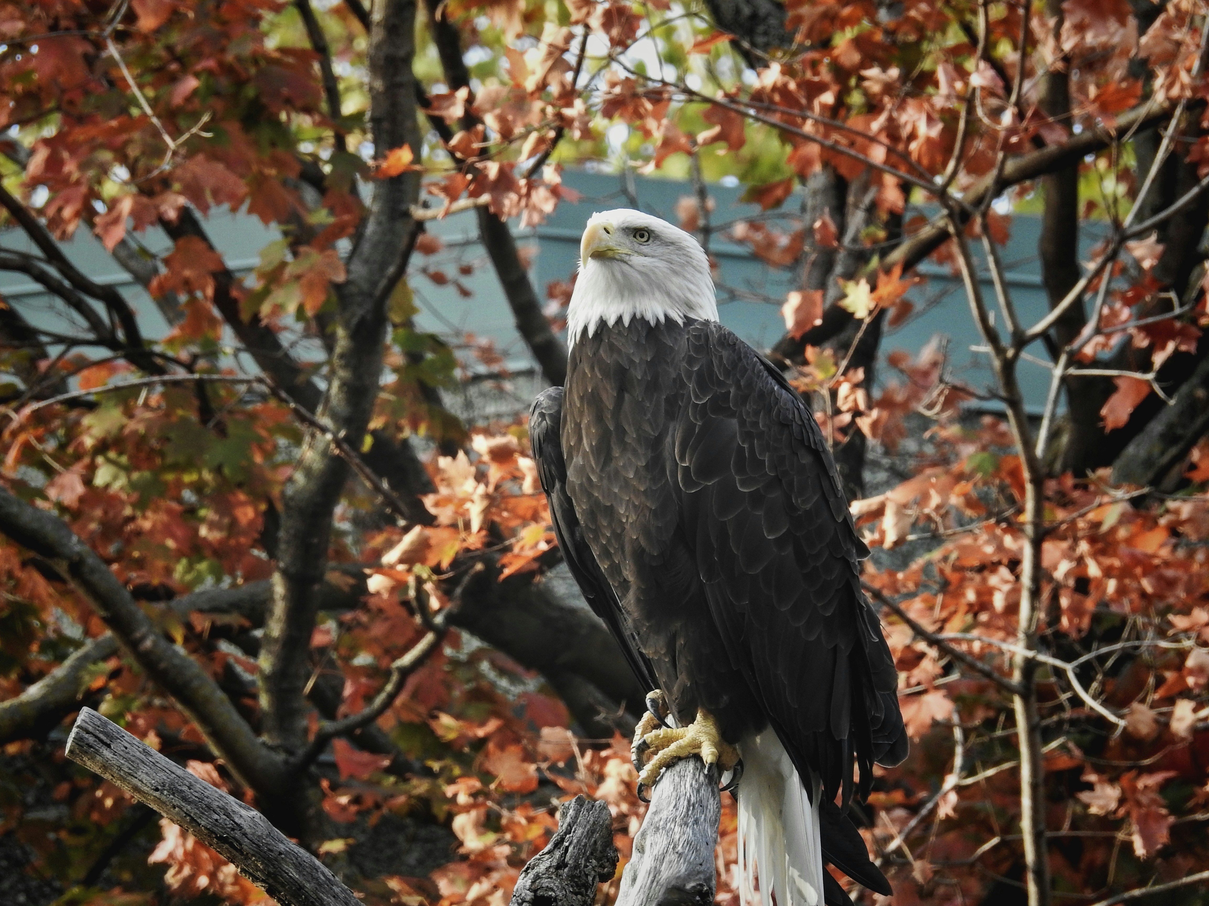 Photo by minimdesignco