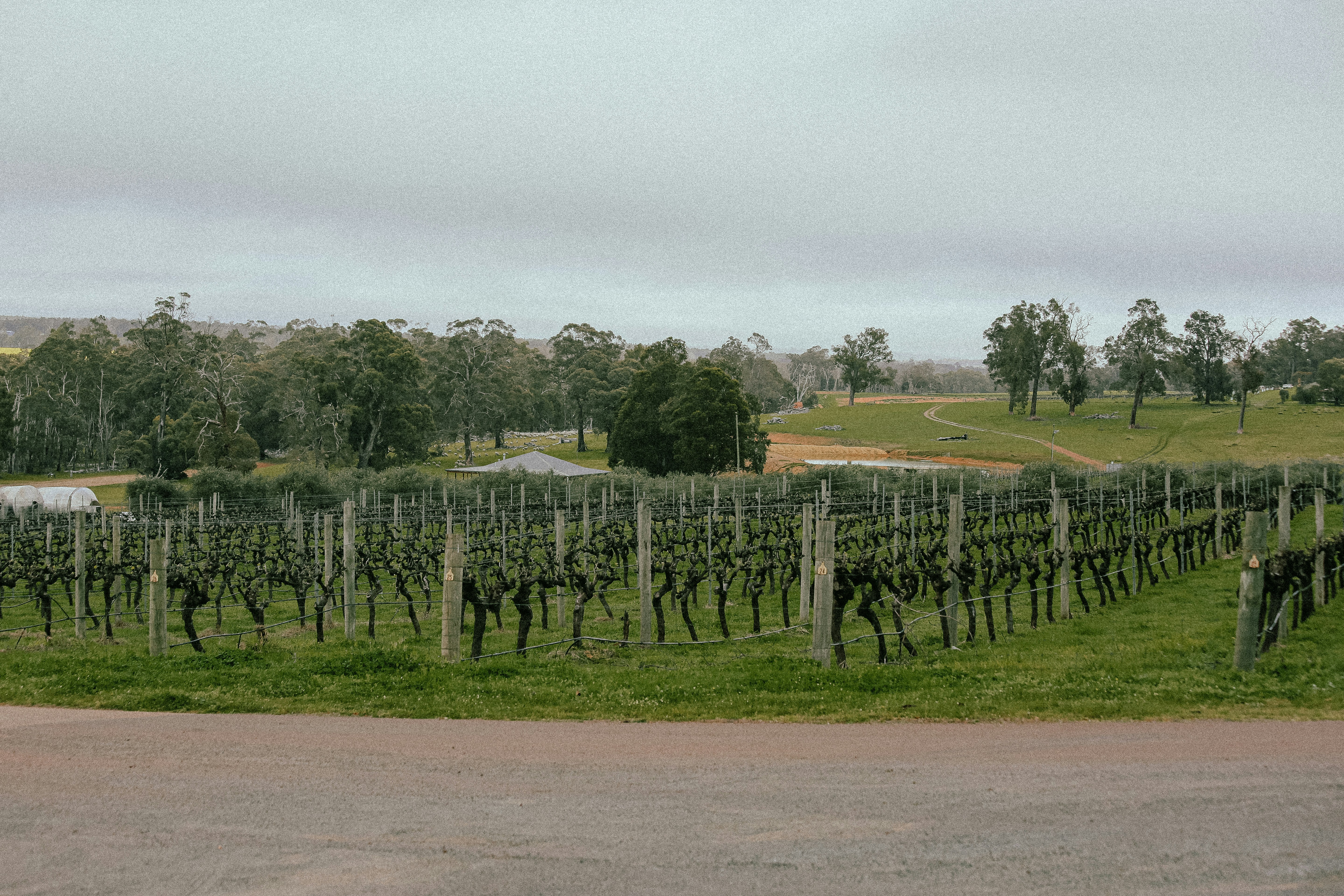 National Wine Centre of Australia photo 3