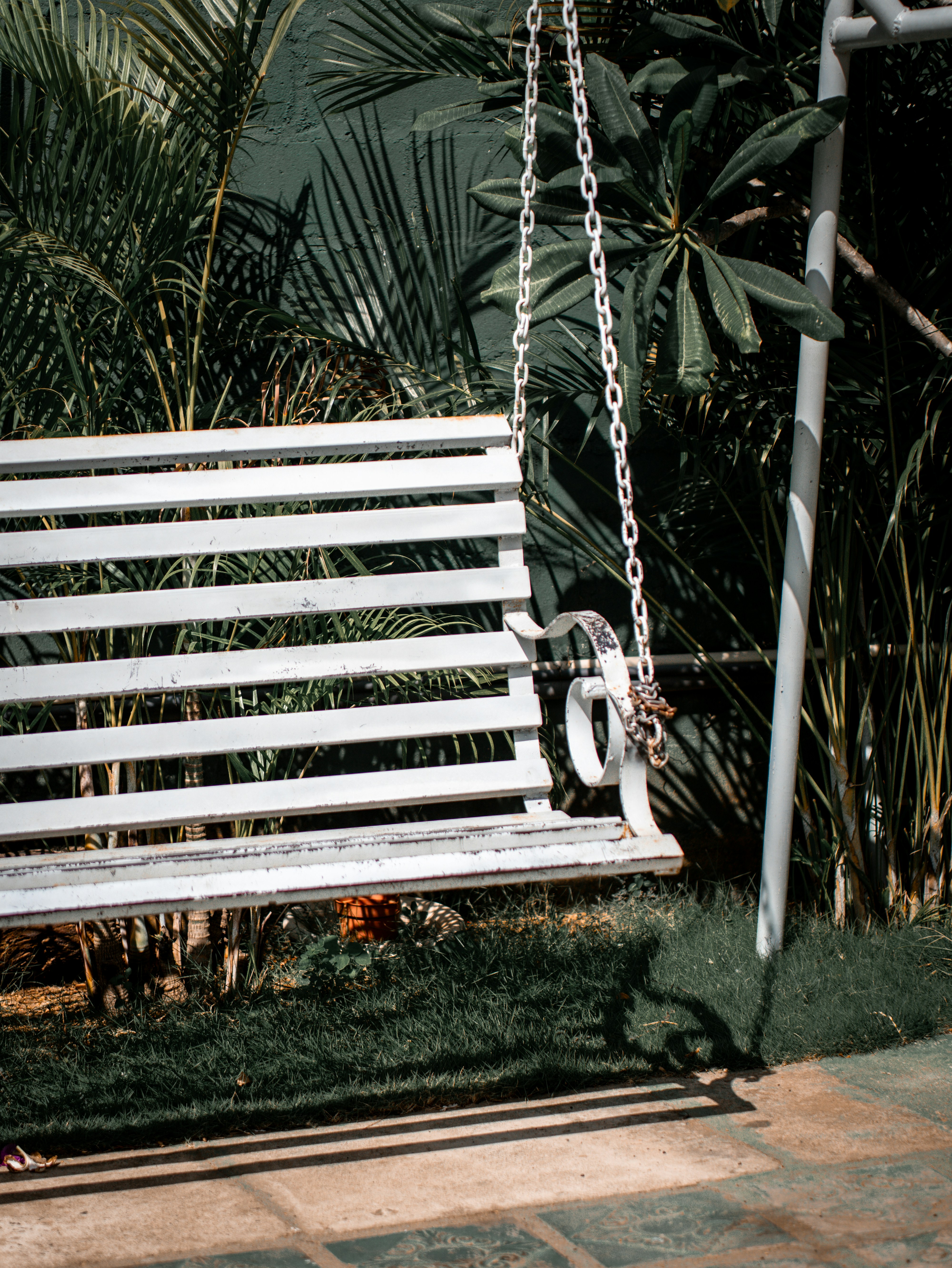 A white wooden swing in front of a palm tree