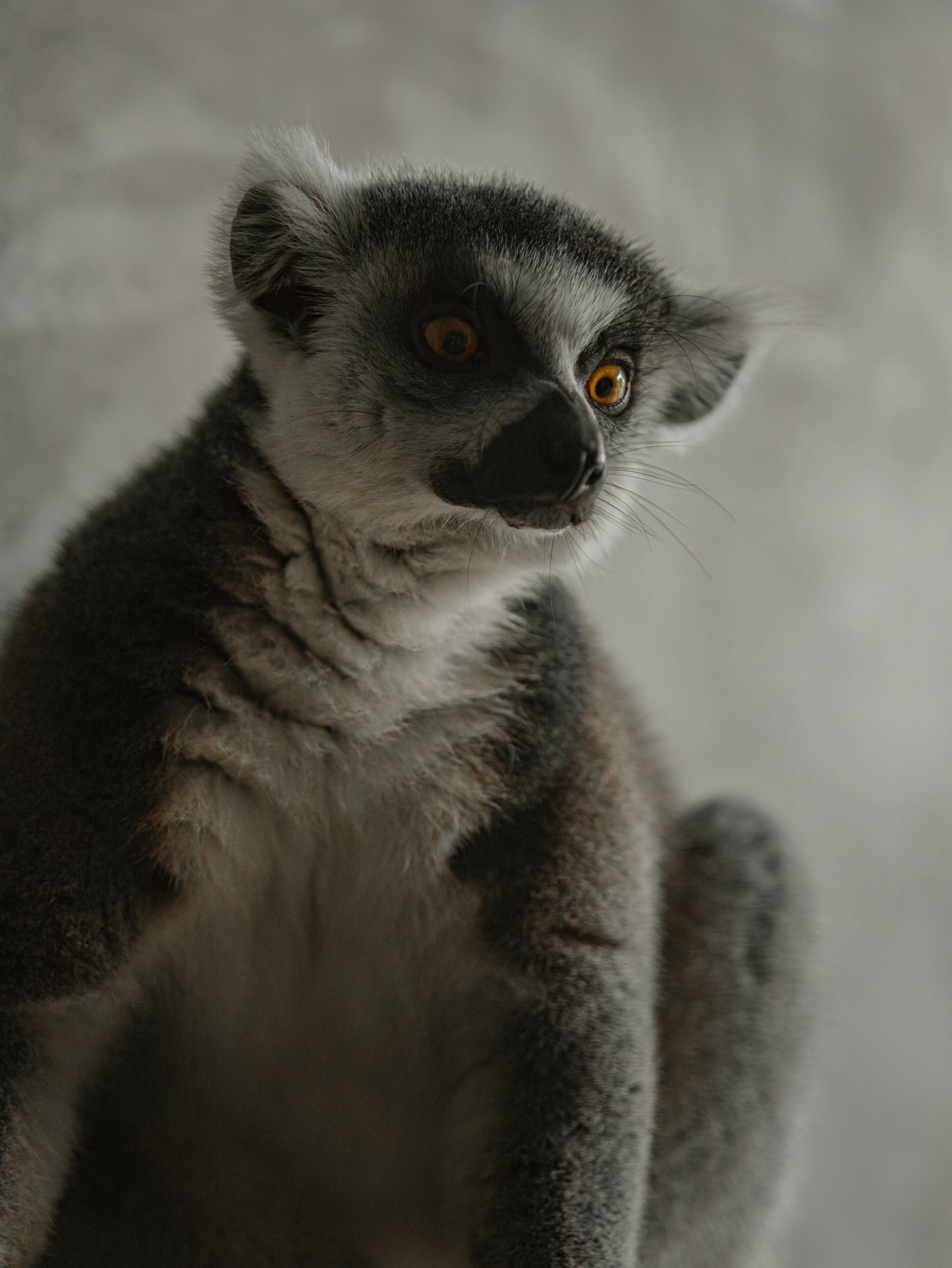 Nosy Be travel photo