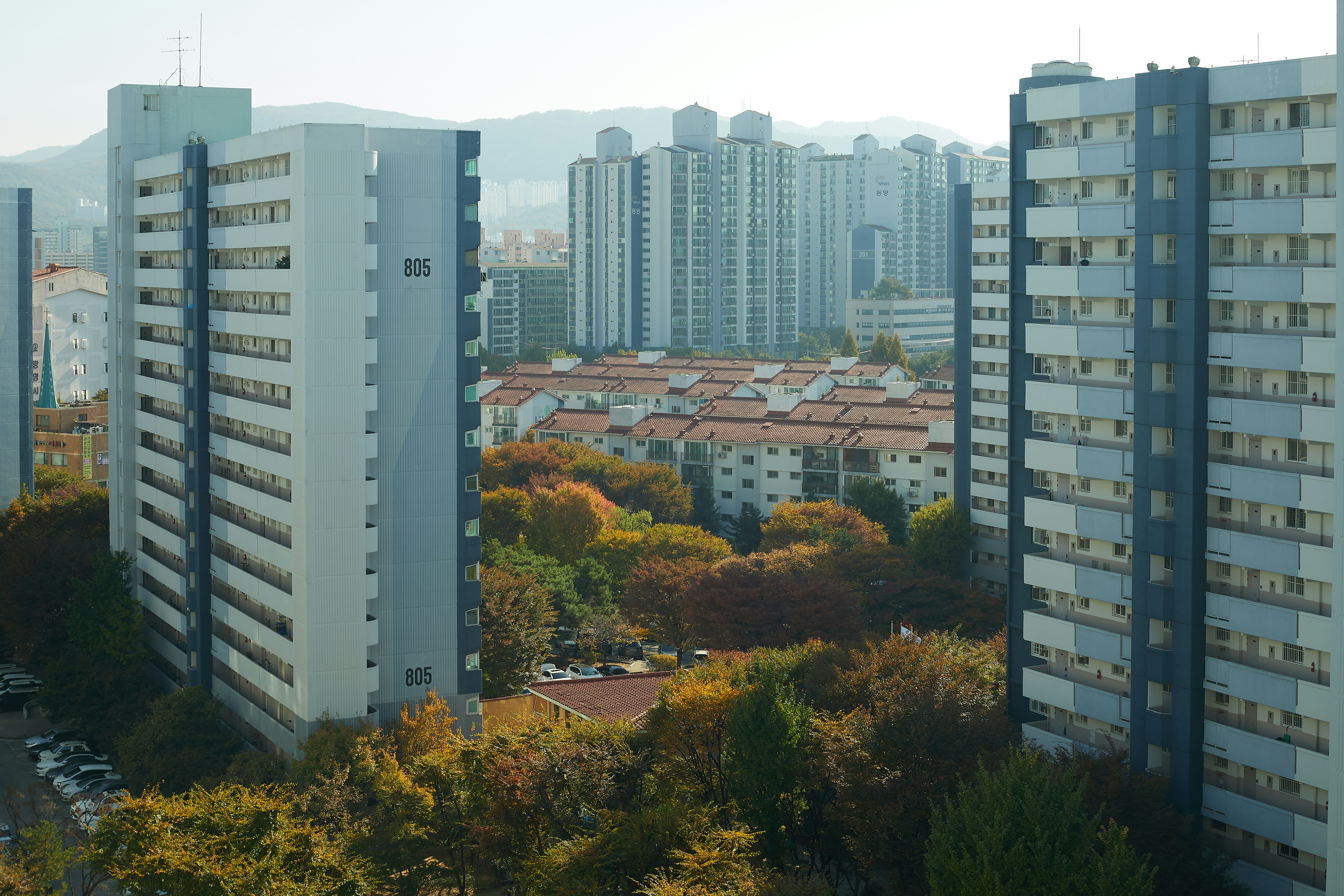 1천만 원으로 부동산 투자 시작한 사람들, 지금 수익은?