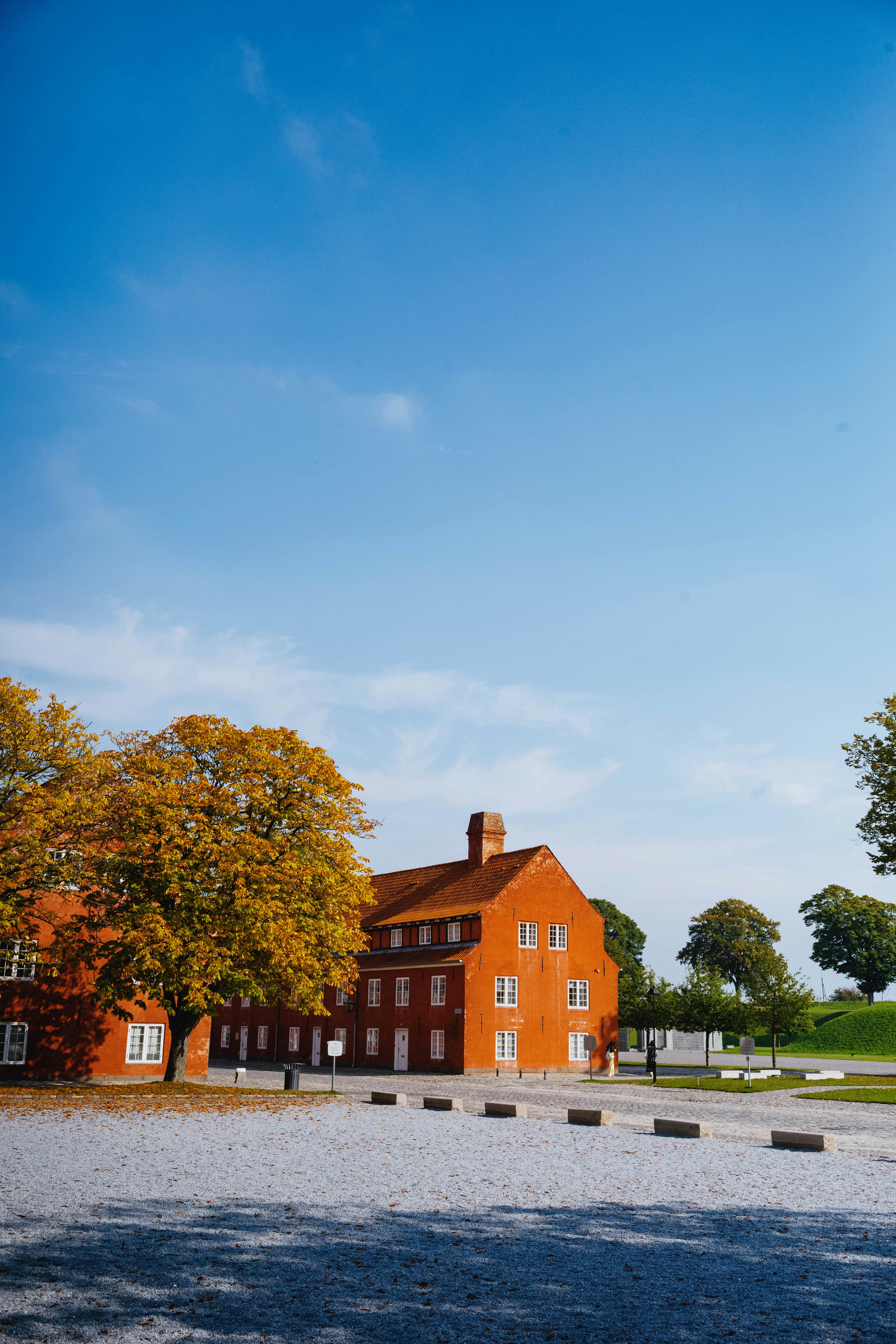 Photo by tommaomaoer