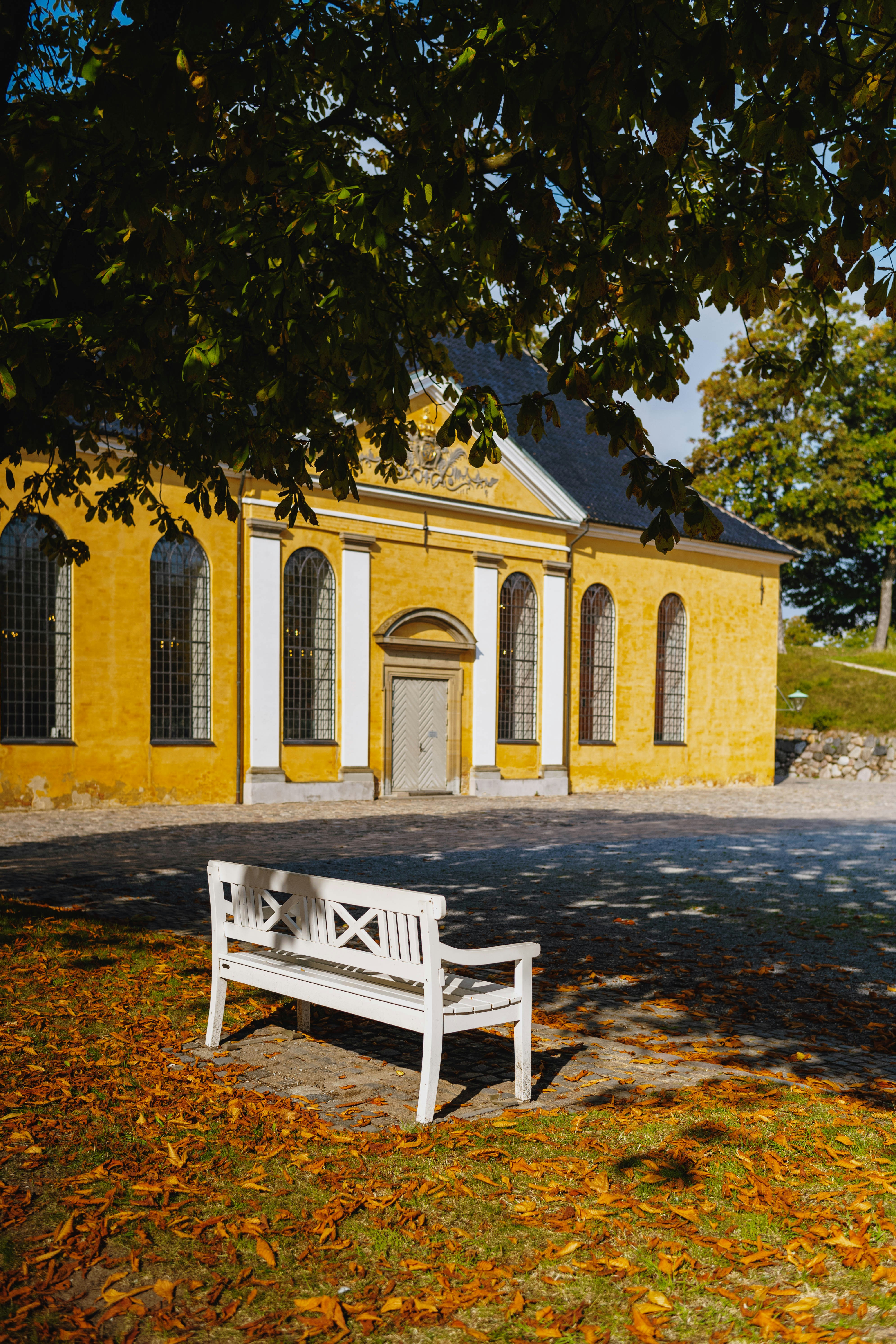 Photo by tommaomaoer