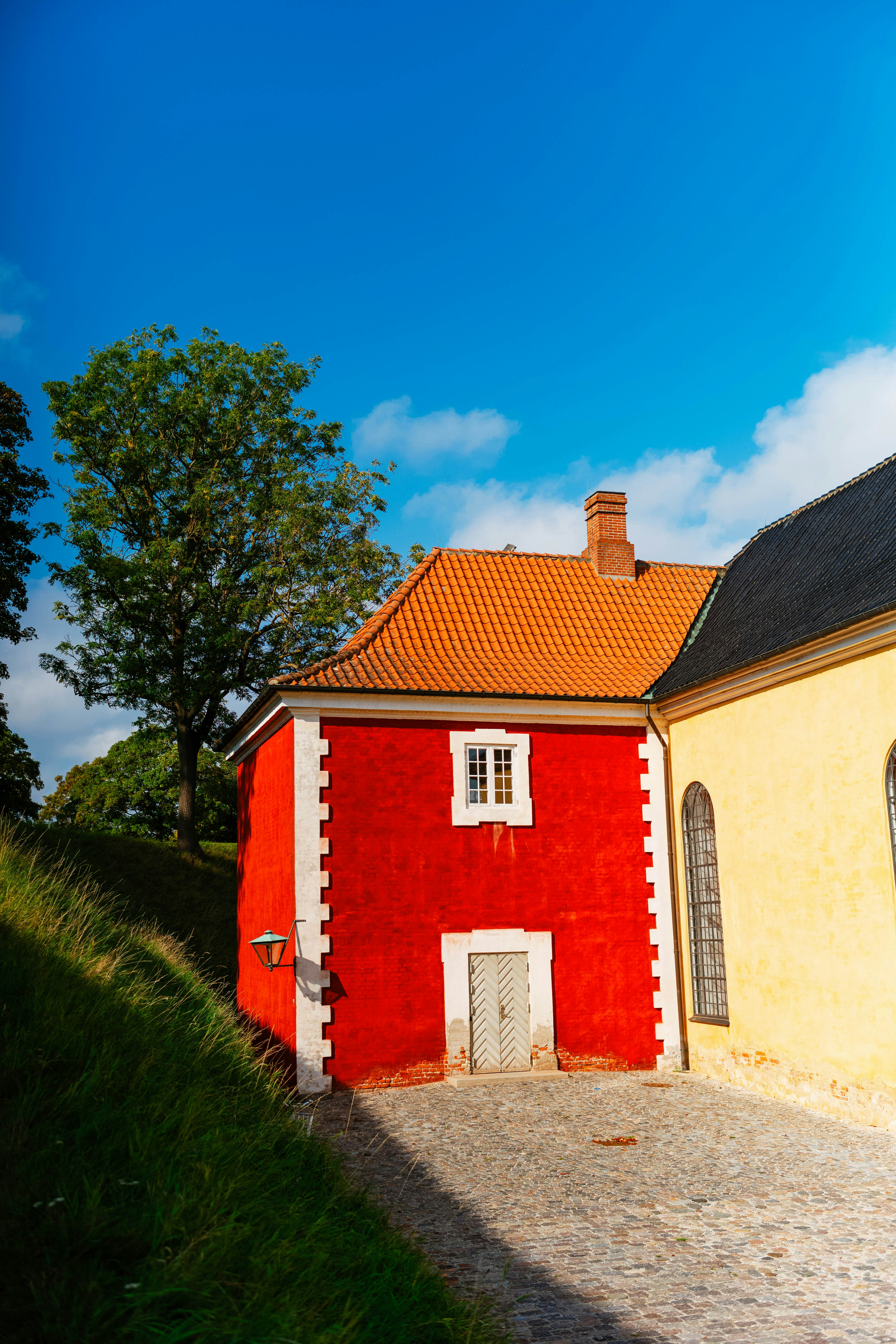 Photo by tommaomaoer