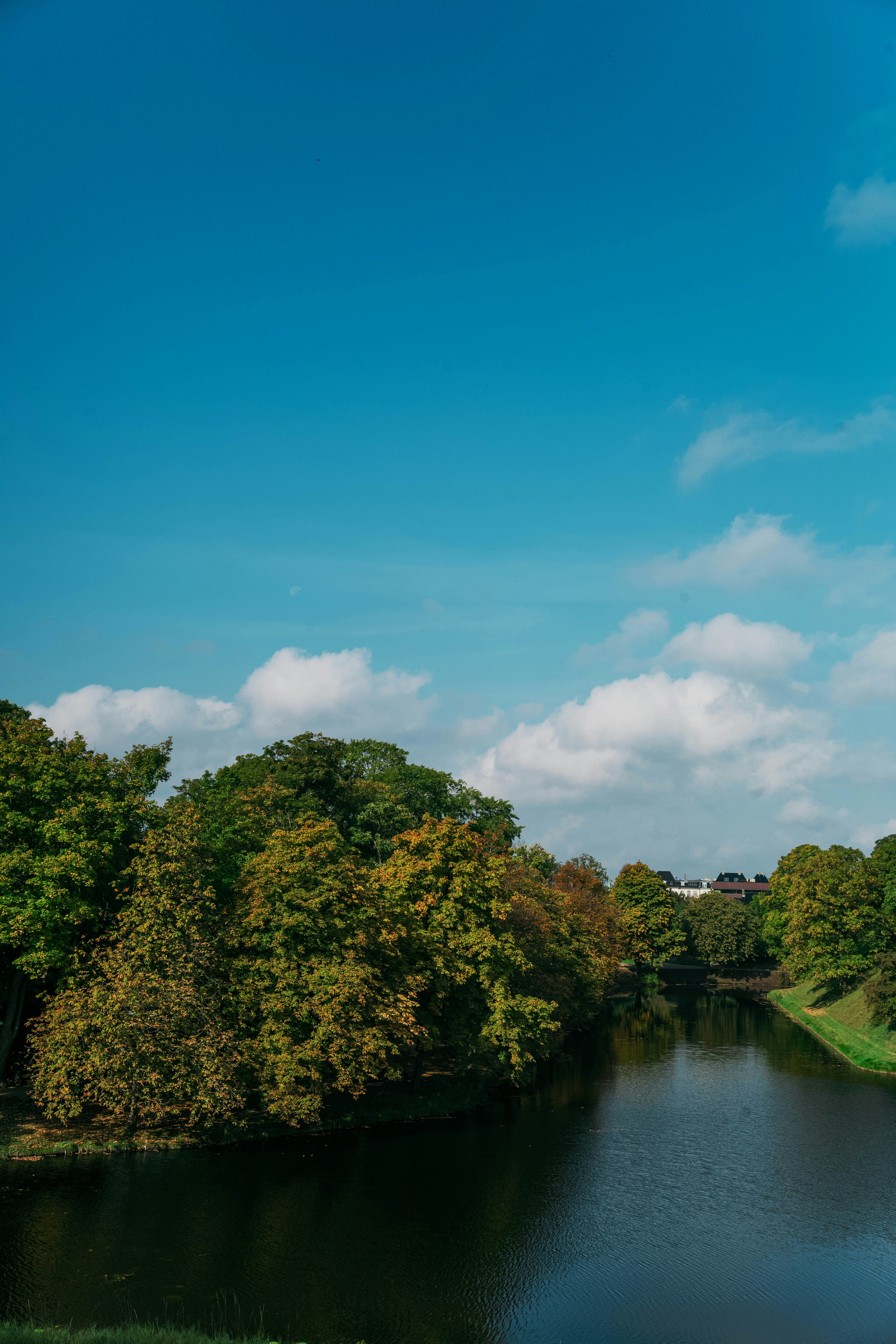 Photo by tommaomaoer