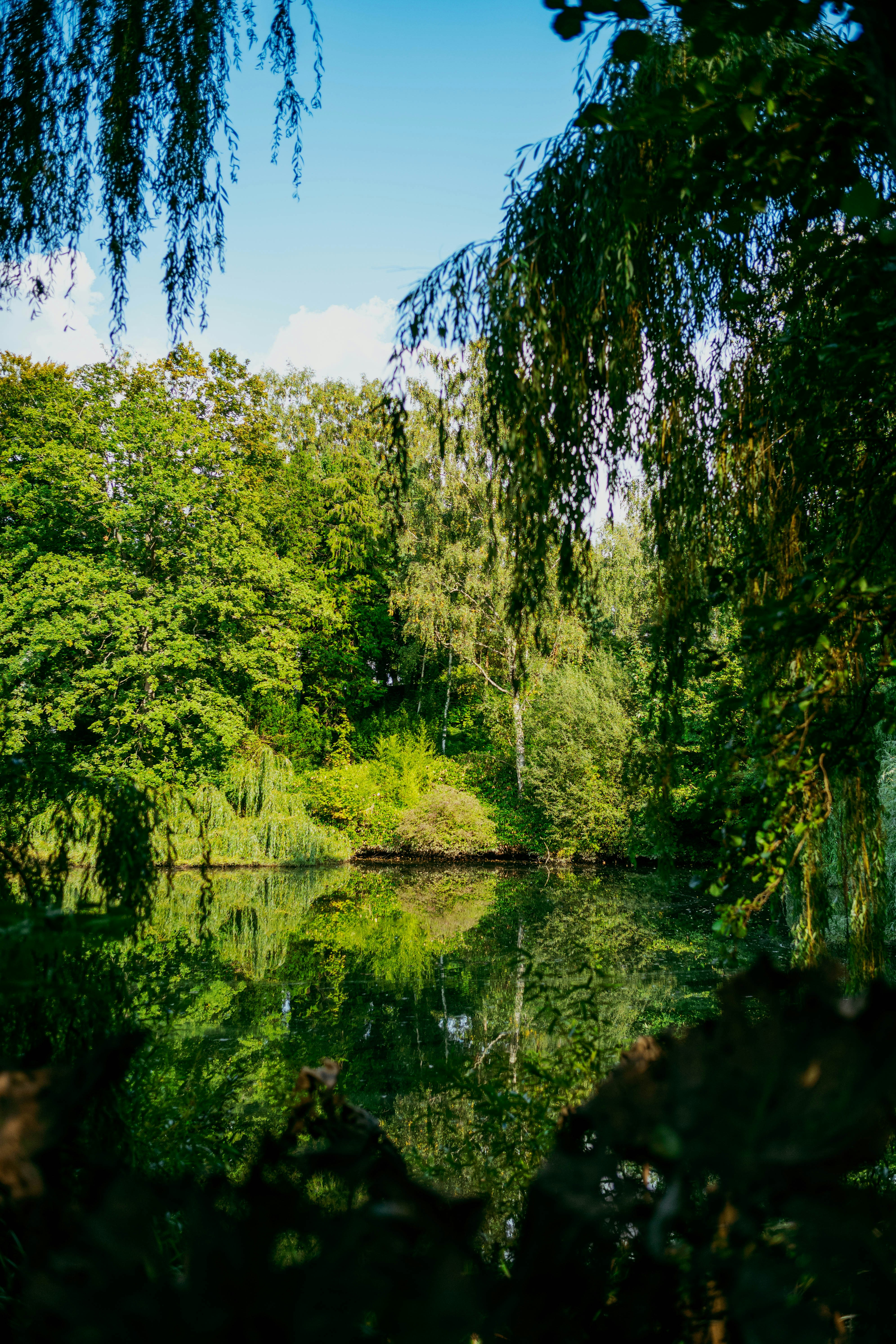 Photo by tommaomaoer