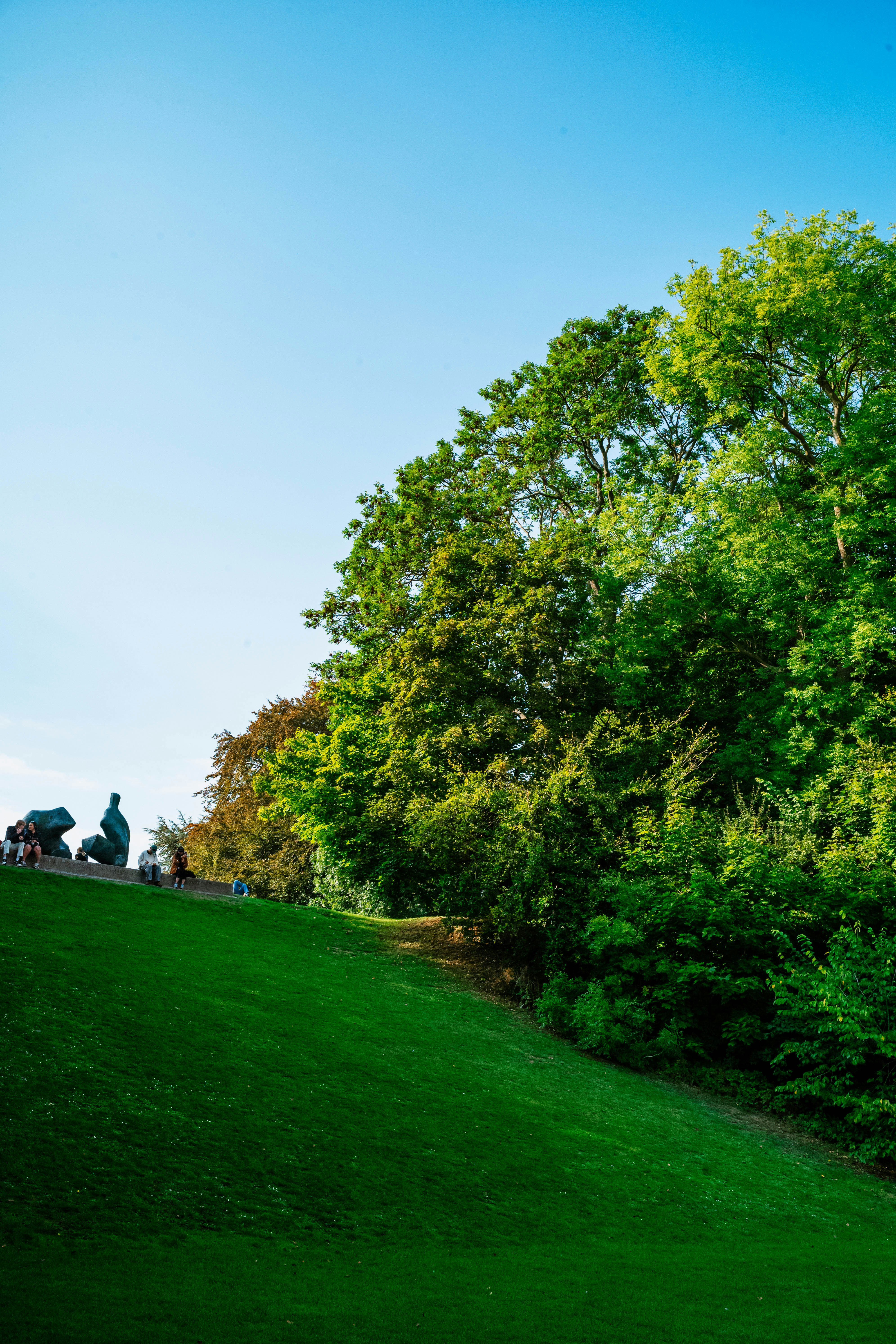 Photo by tommaomaoer