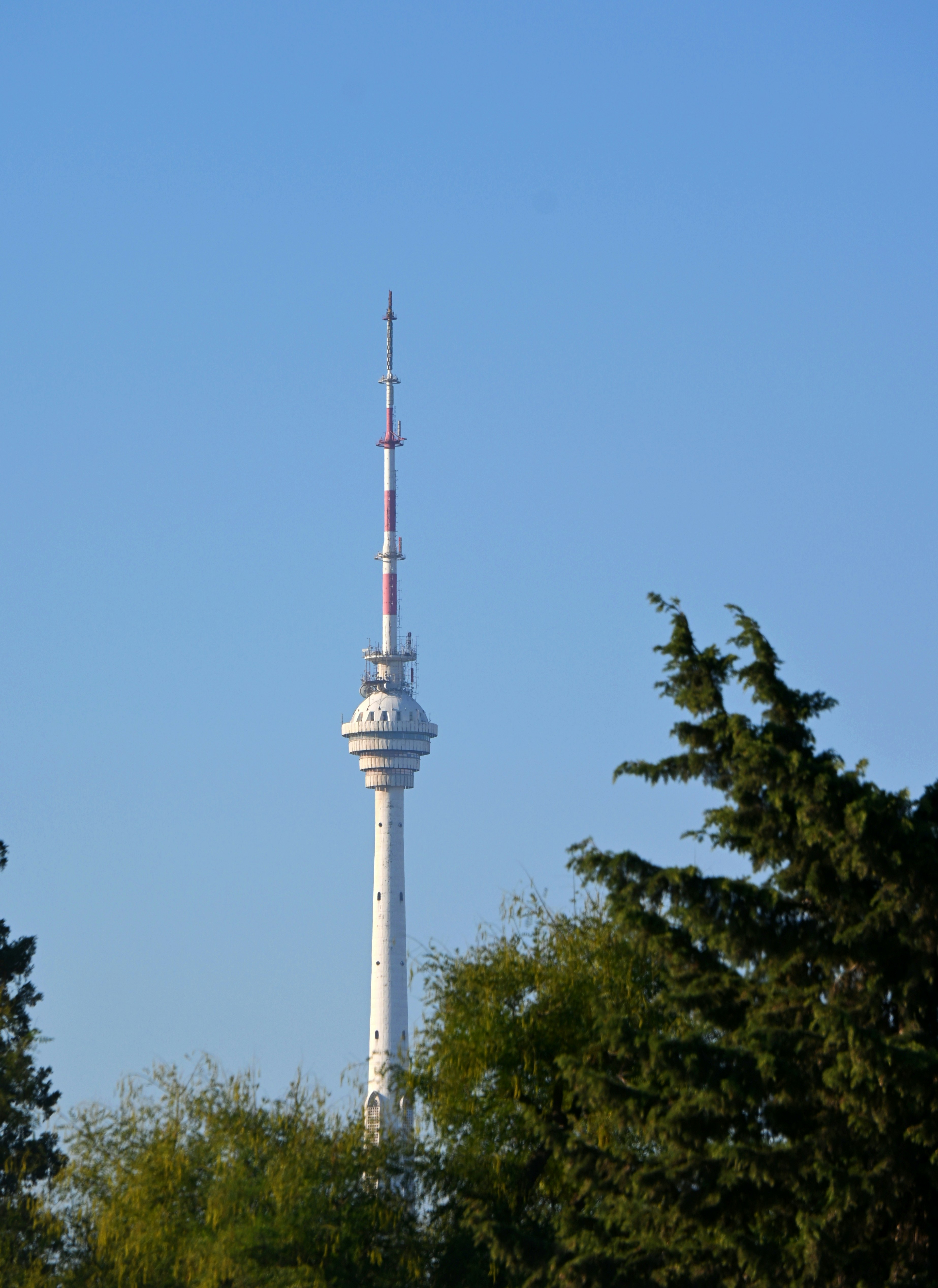 Photo by thesilvafocus