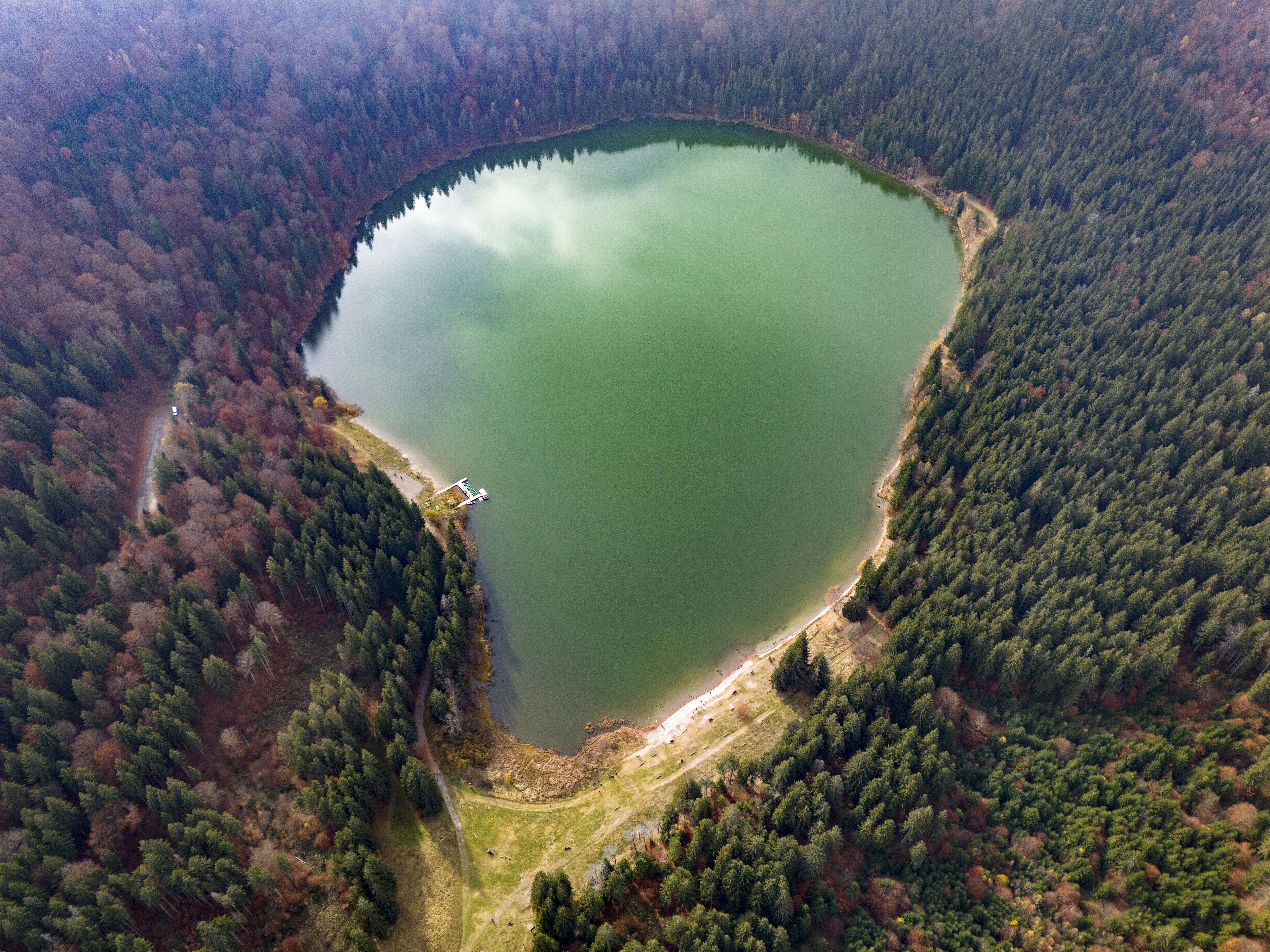 An aerial view of a lake surrounded by trees