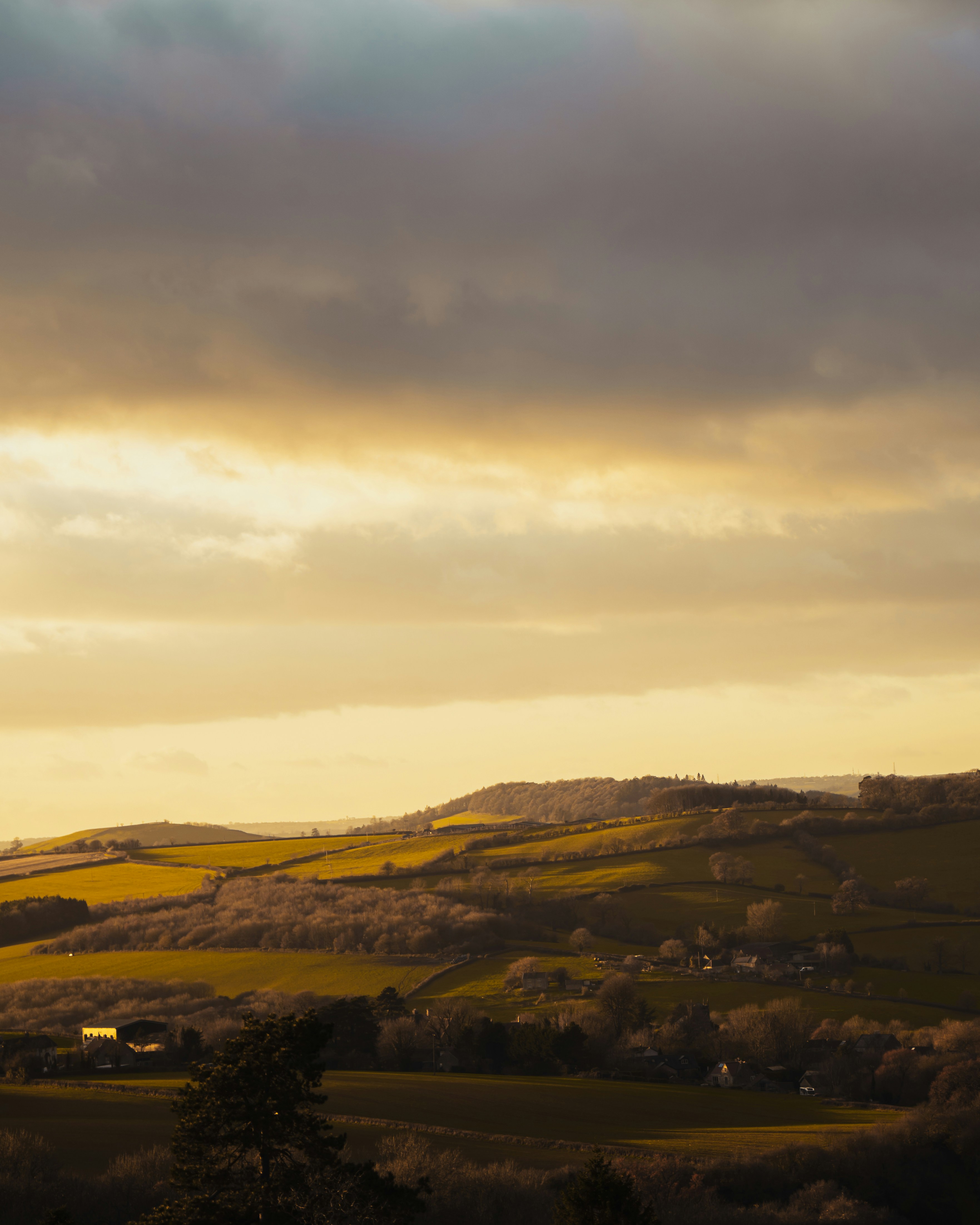 Photo by northernpaws