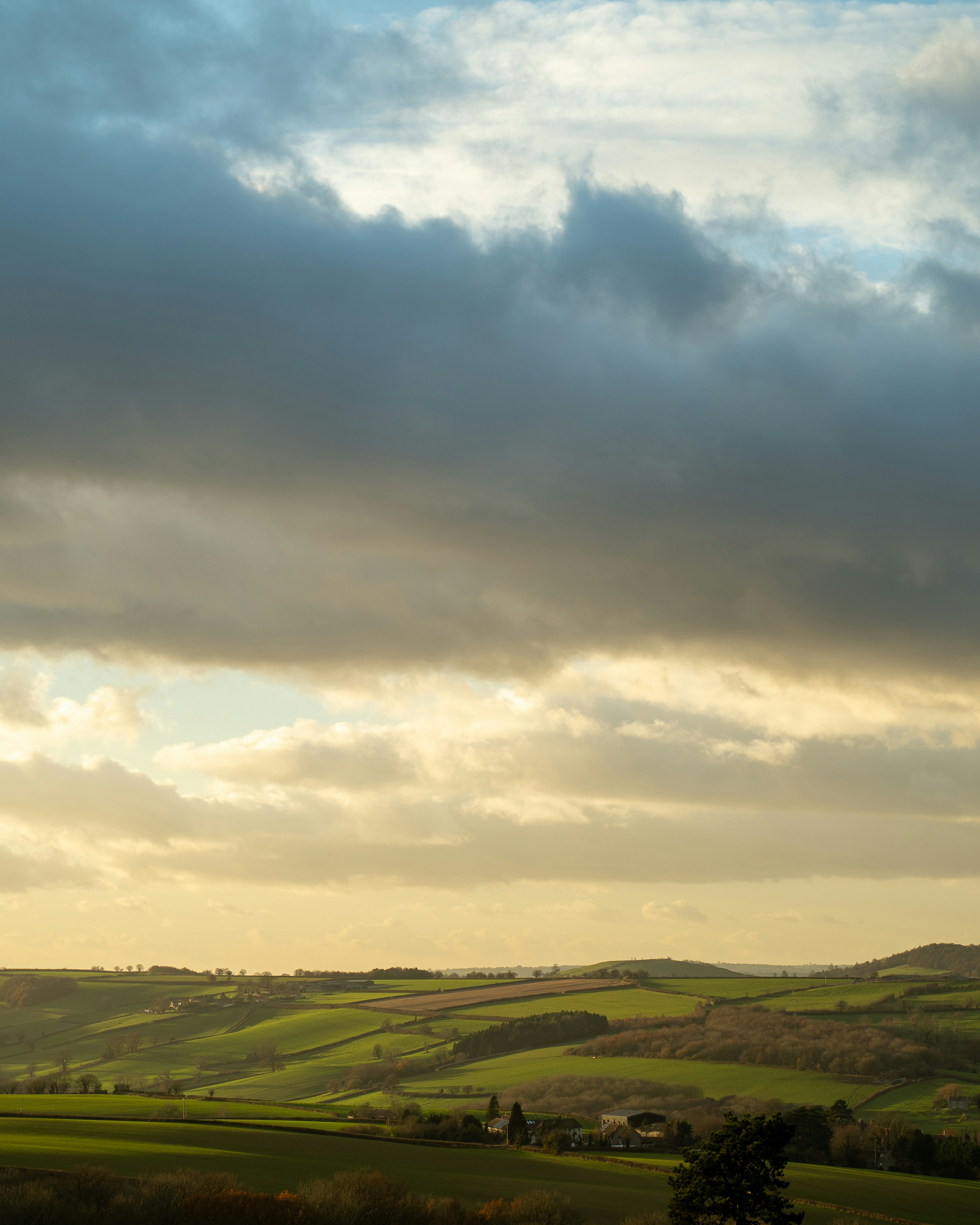 Photo by northernpaws